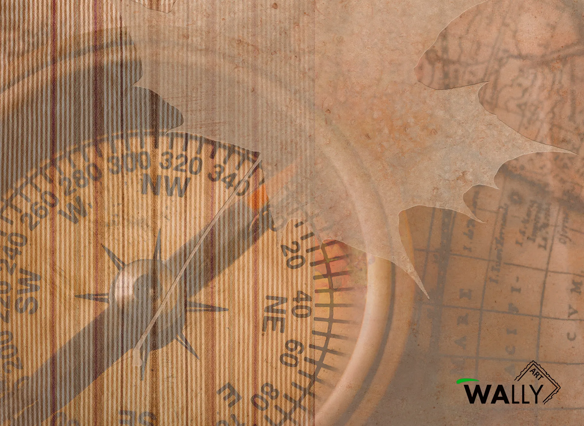 WallyArt - Compass
