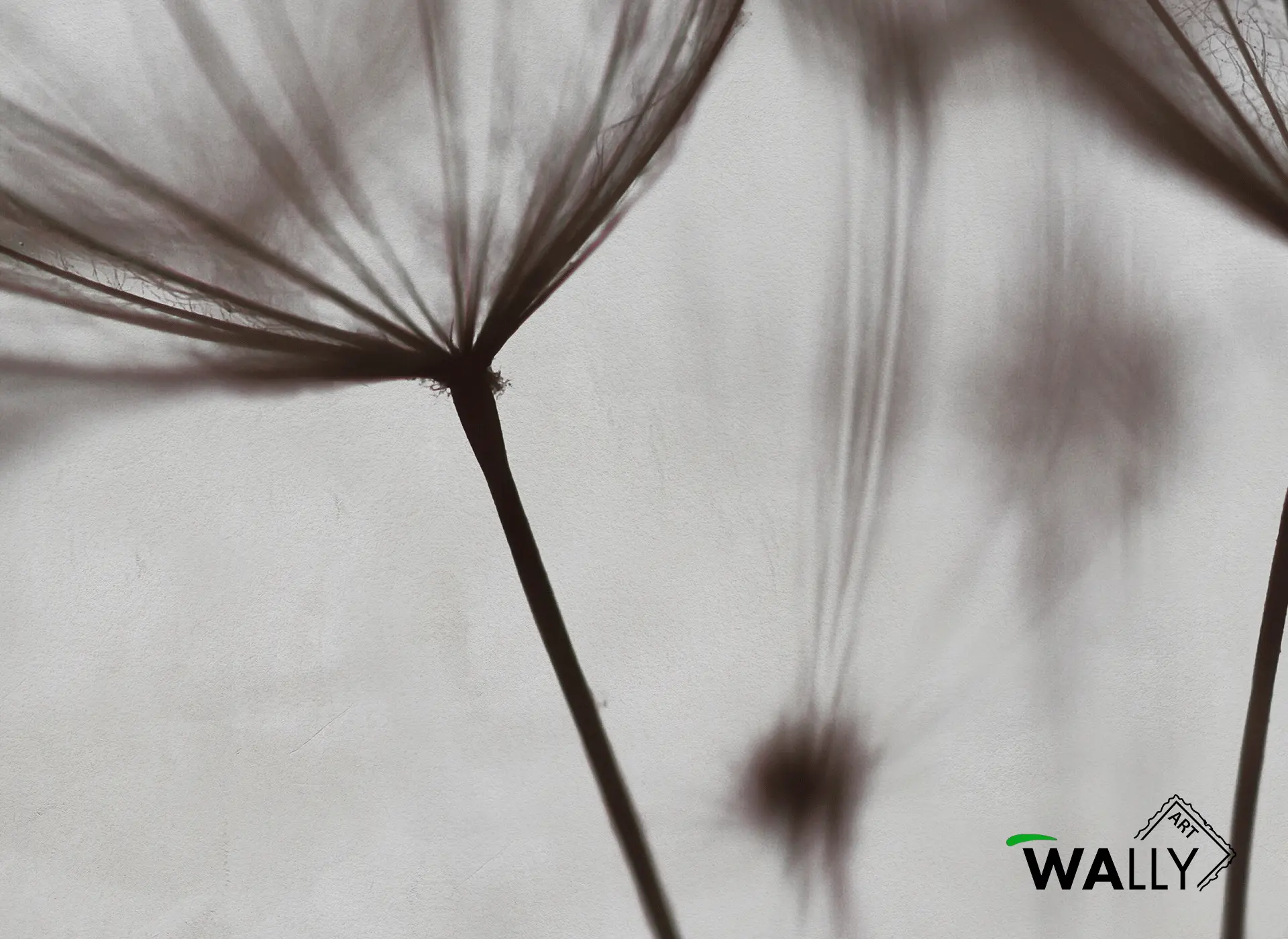 WallyArt - Dandelion 2.0