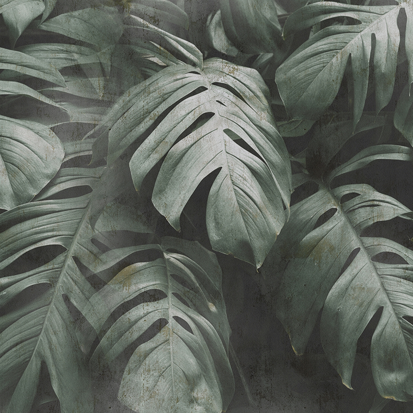 Foliage