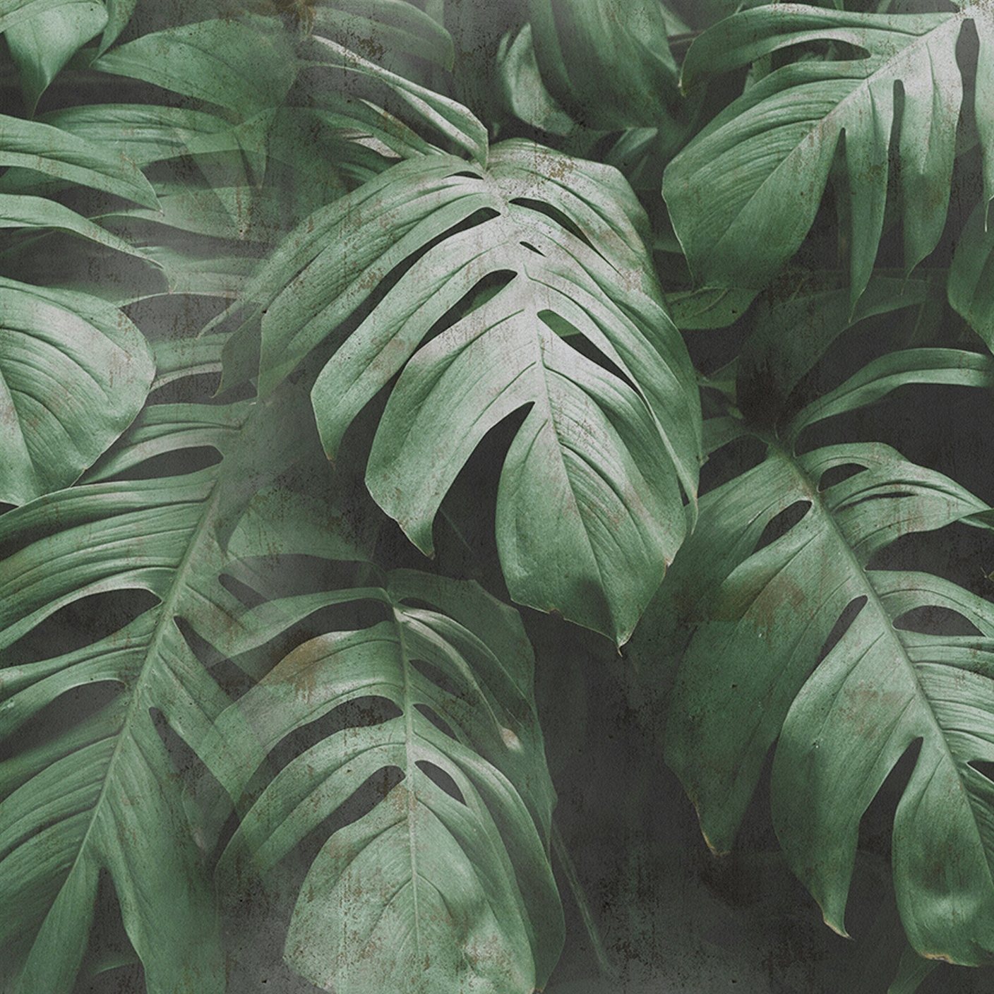 Foliage