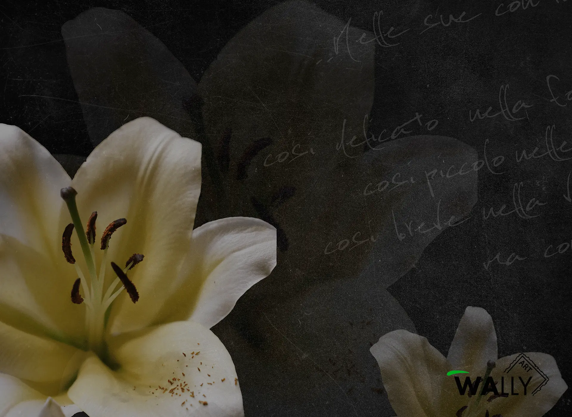 WallyArt - Lily