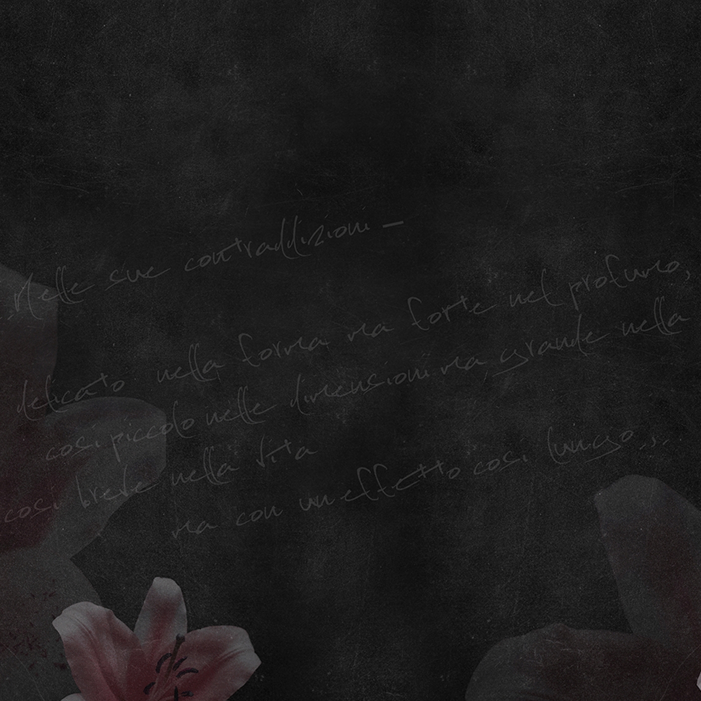 Lily