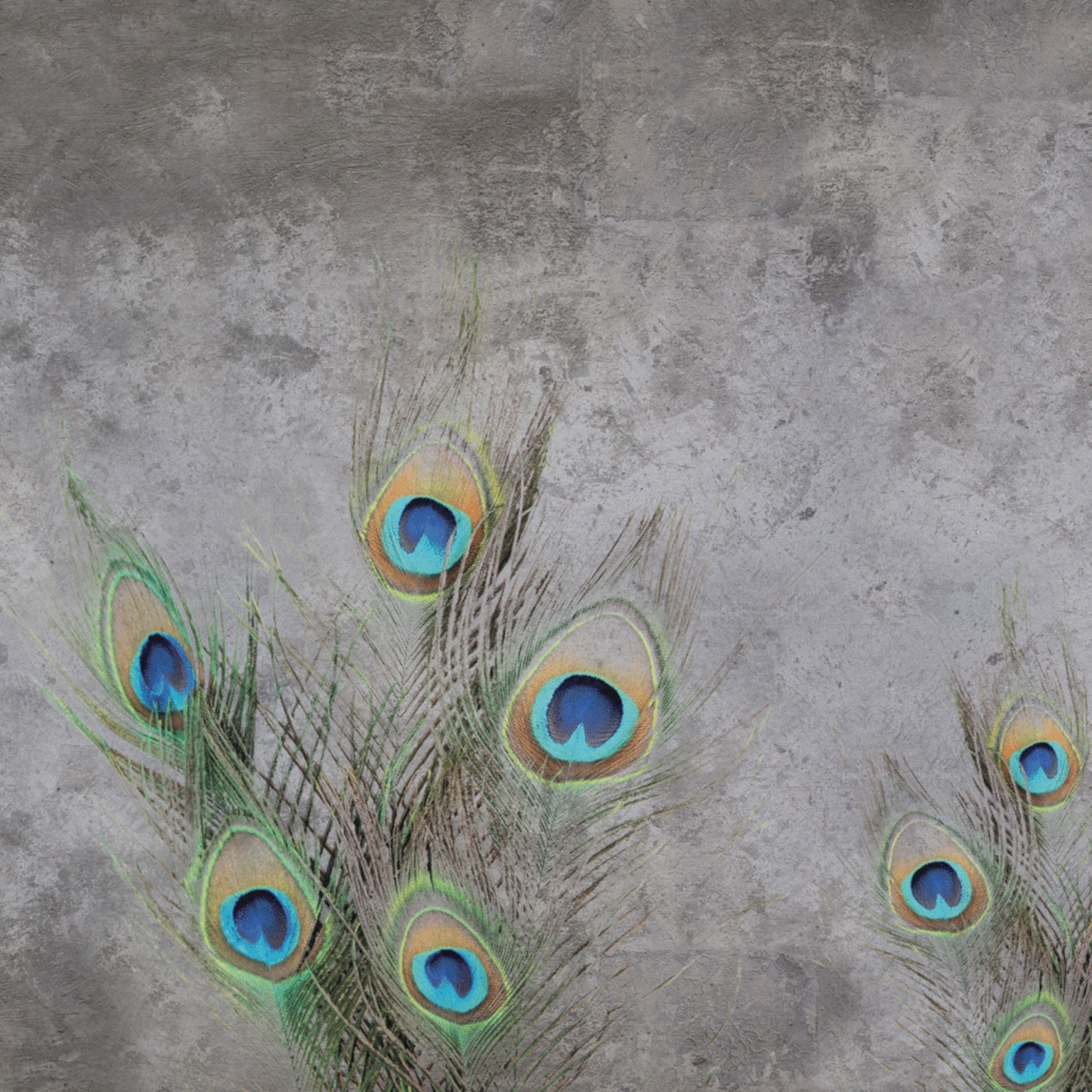 Display product Peacock from manufacturer WallyArt