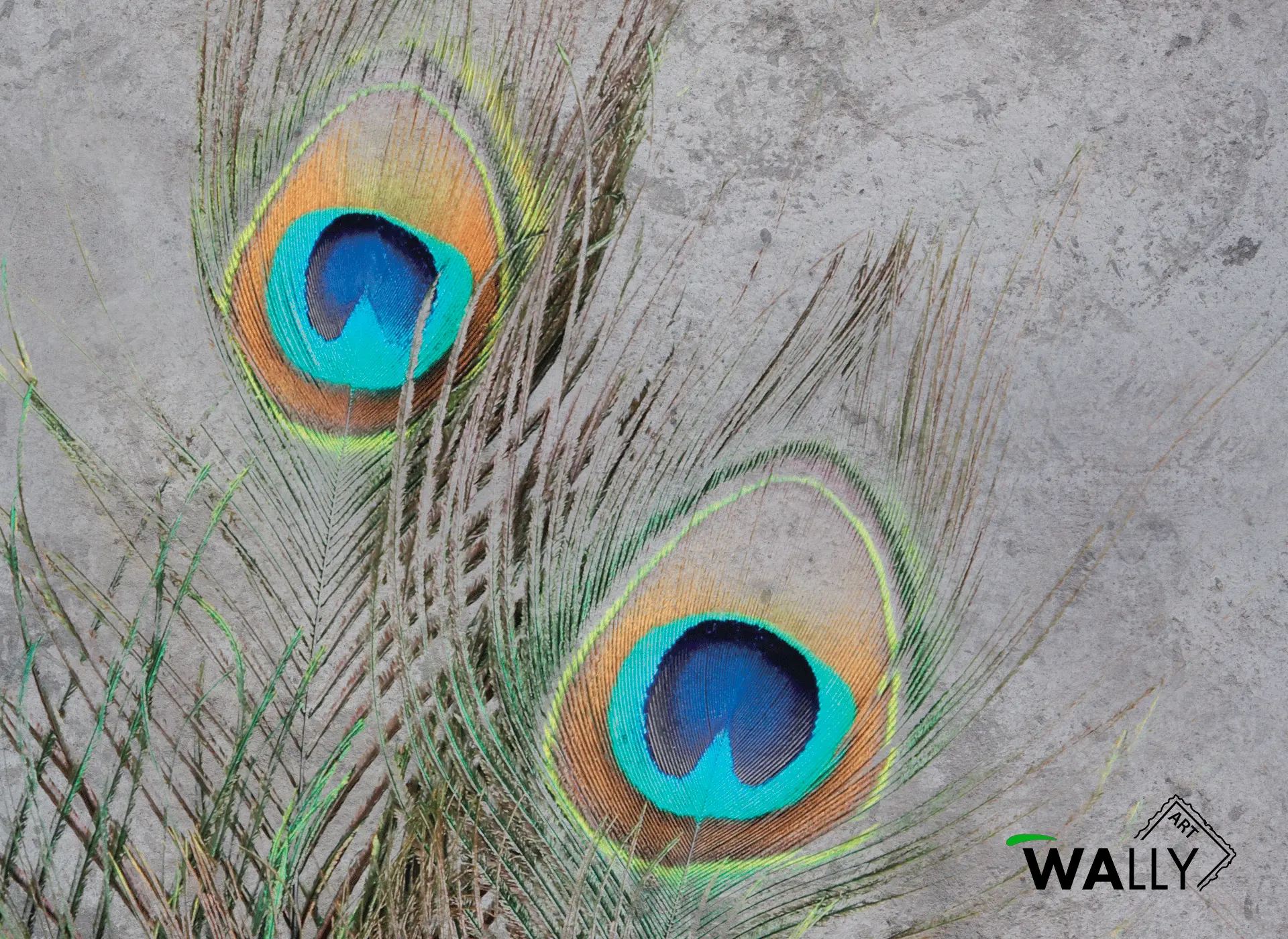 WallyArt - Peacock