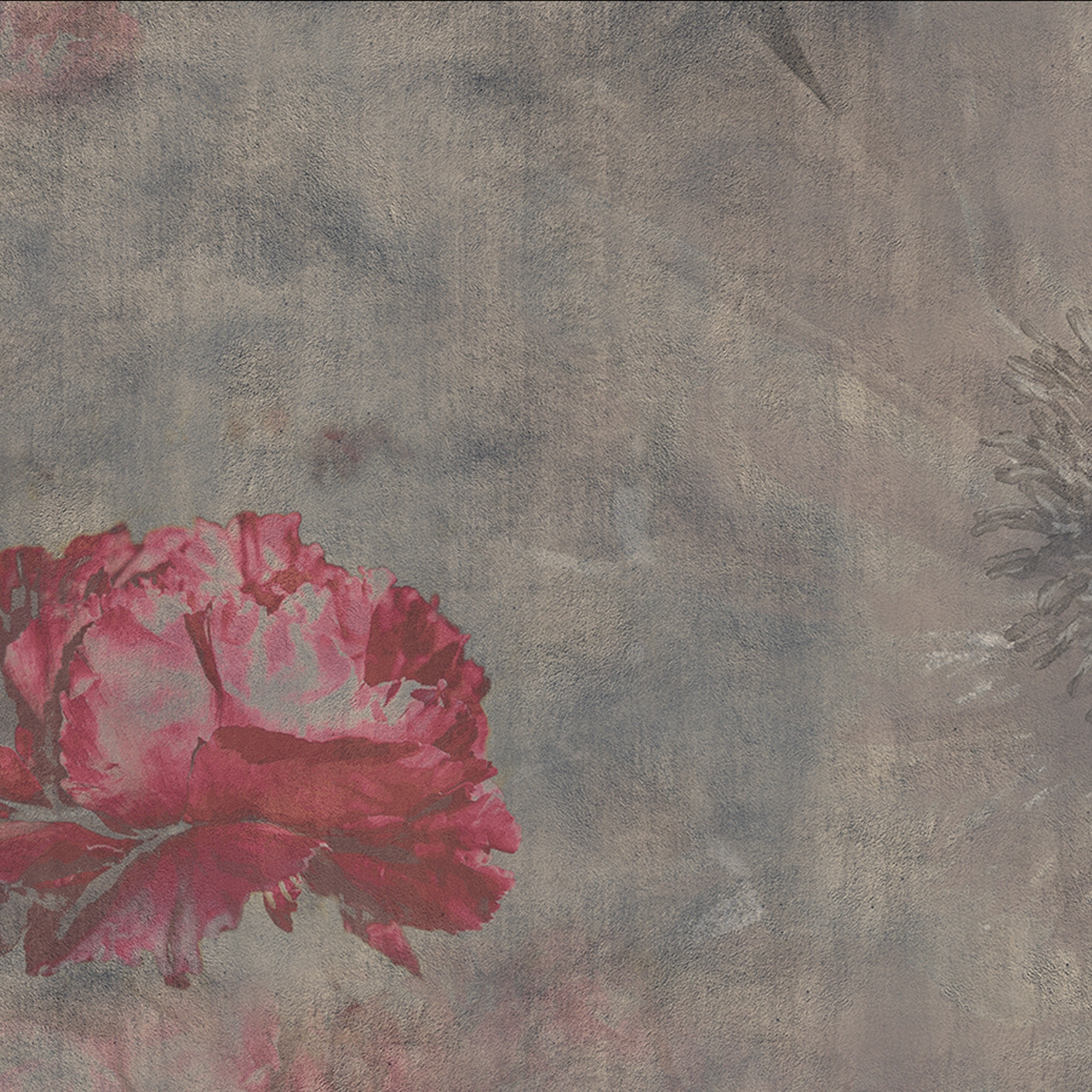 Peonia