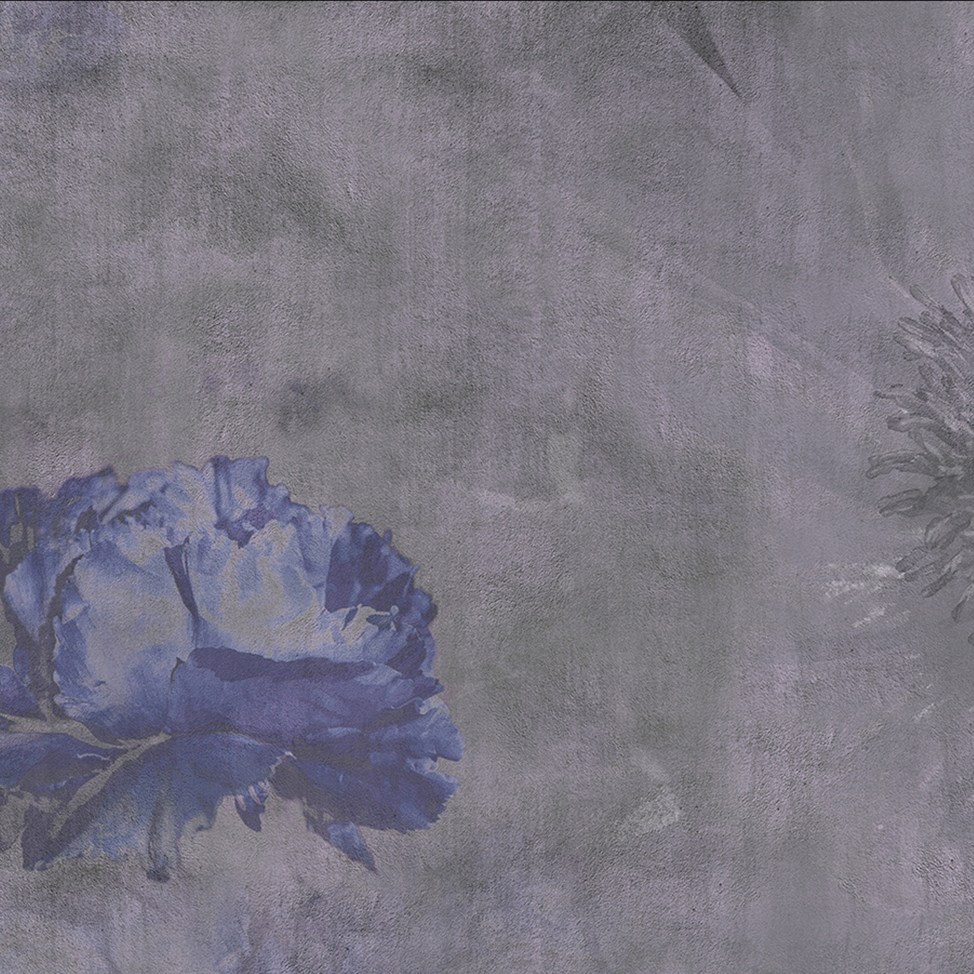 Peonia