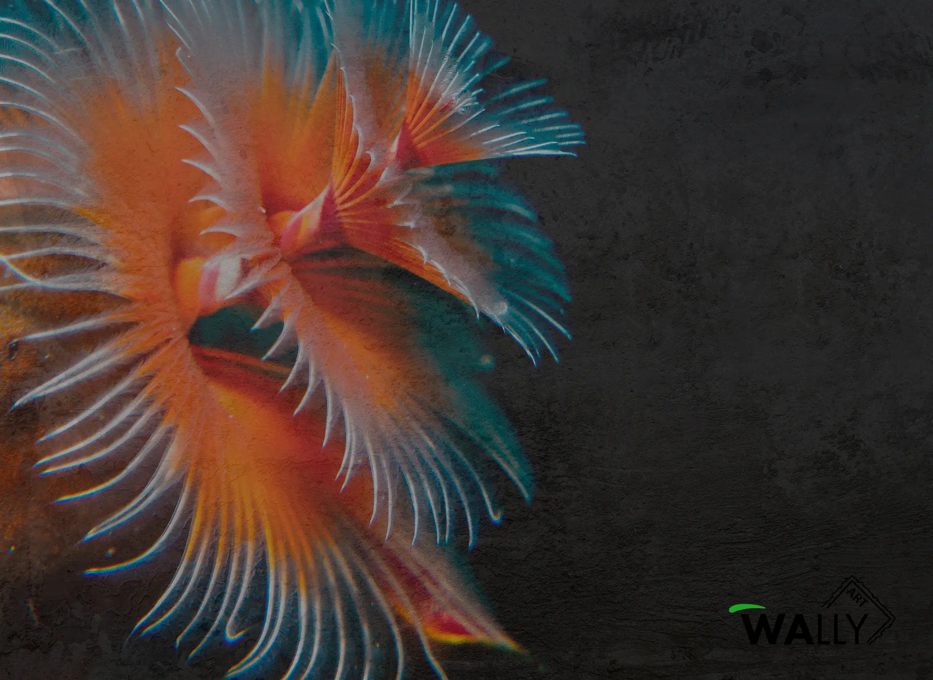 WallyArt - Reef