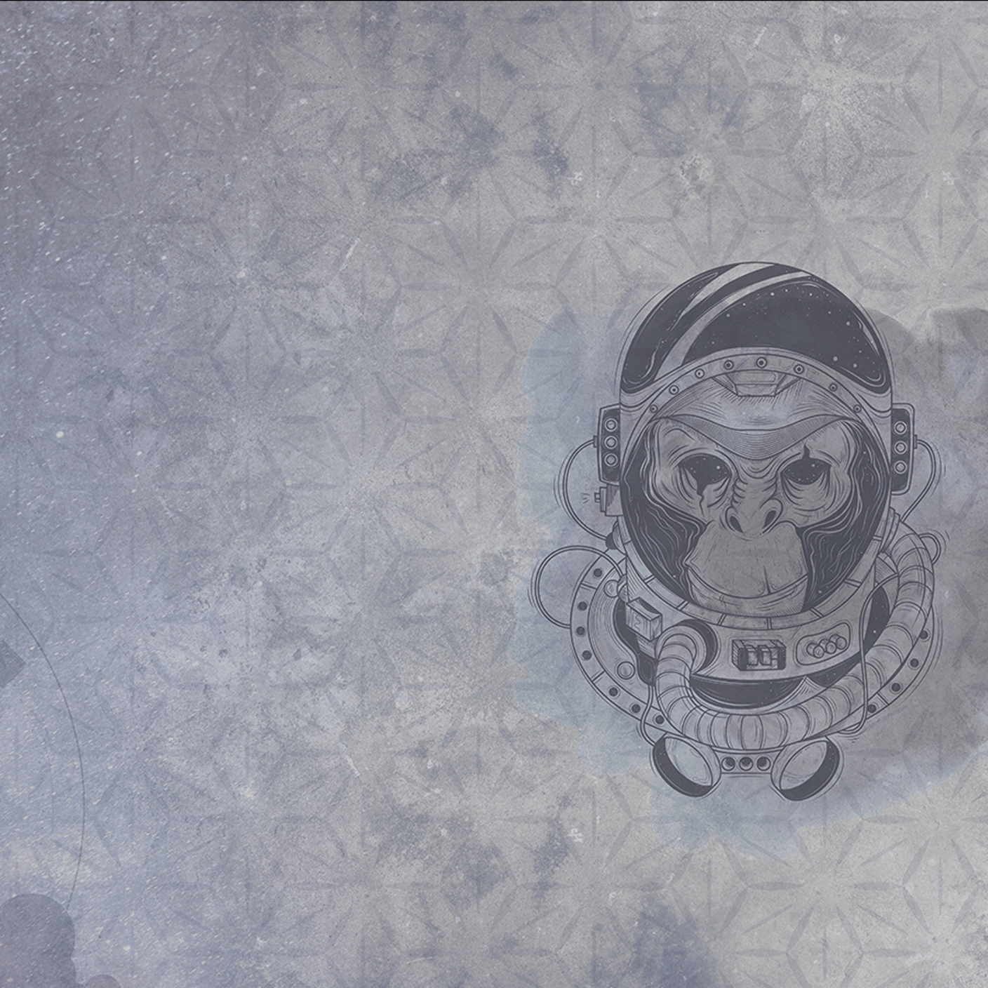Display product Space Monkey from manufacturer WallyArt