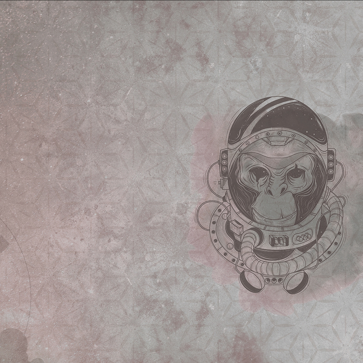 Space Monkey