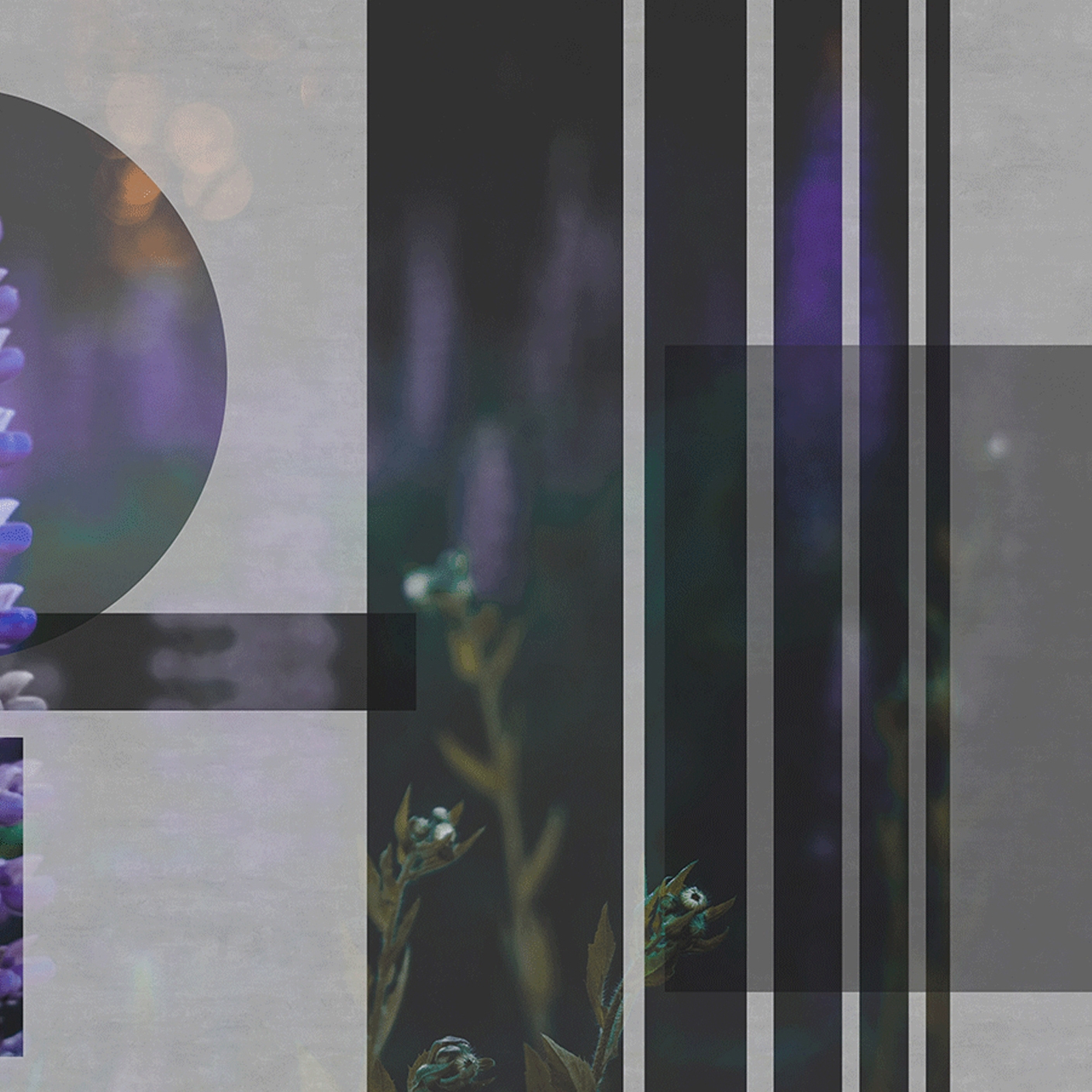 Mostra il prodotto Violet del produttore WallyArt