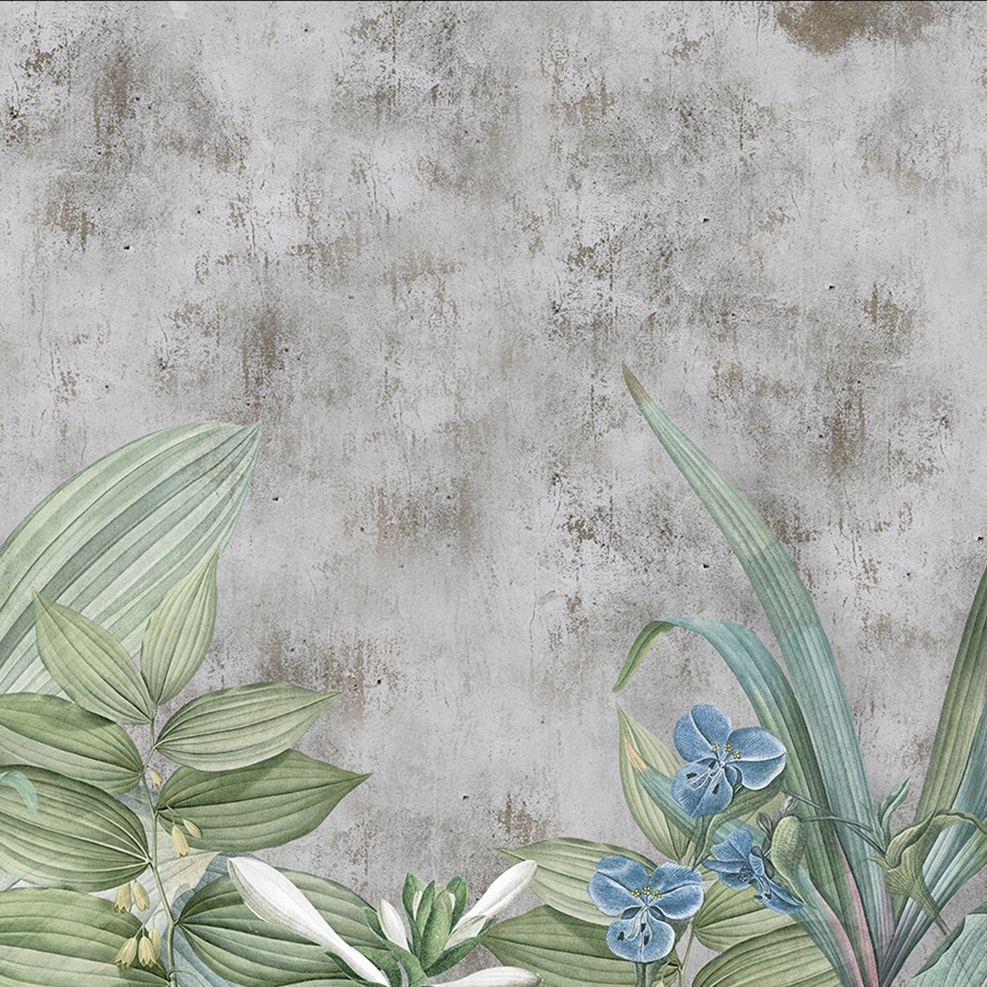 Display product Wallace from manufacturer WallyArt