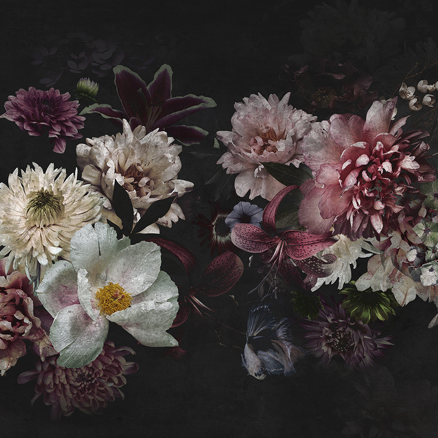 Dahlia