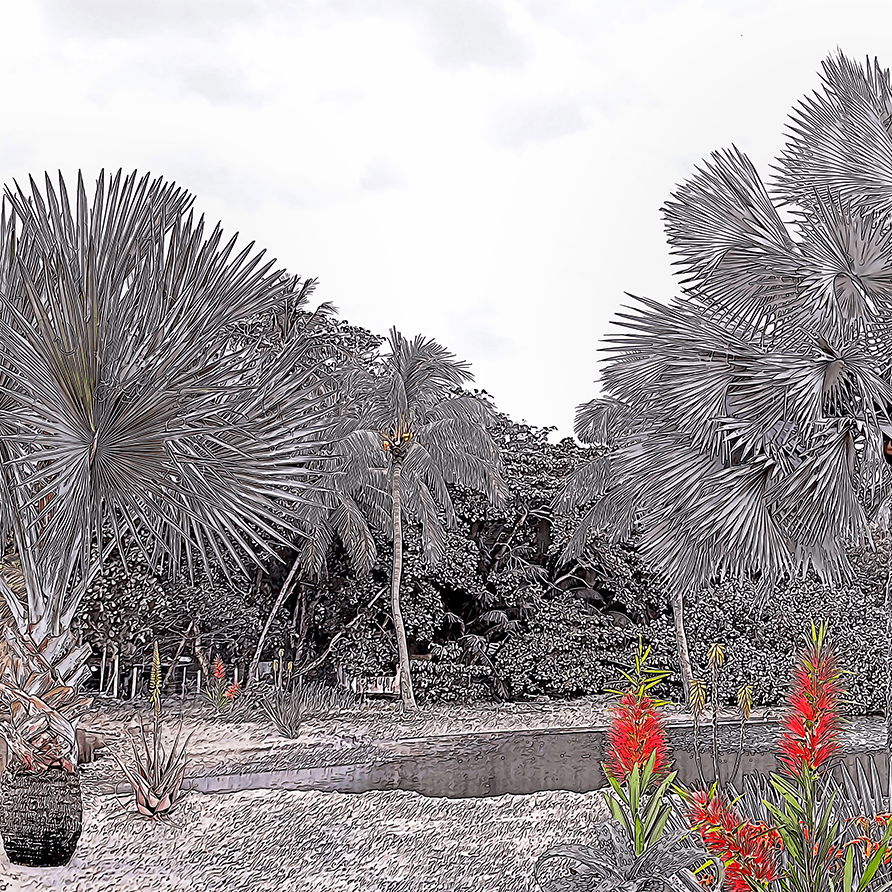 Display product Coron Island from manufacturer WallyArt