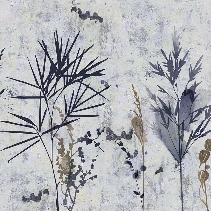 Afficher le produit Anouk du fabricant WallyArt