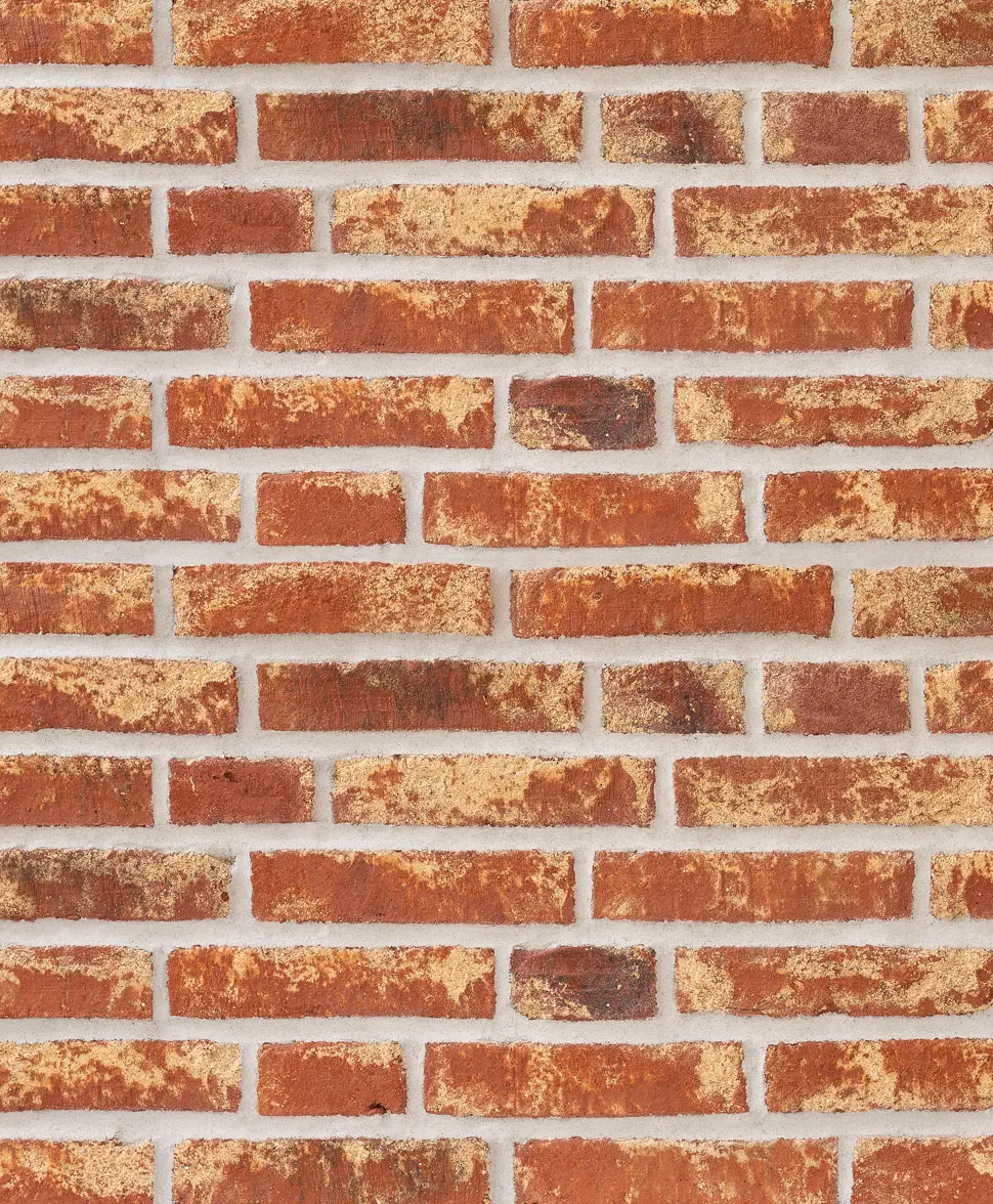 Randers Tegl - Rustica | RT 453 Red Barok