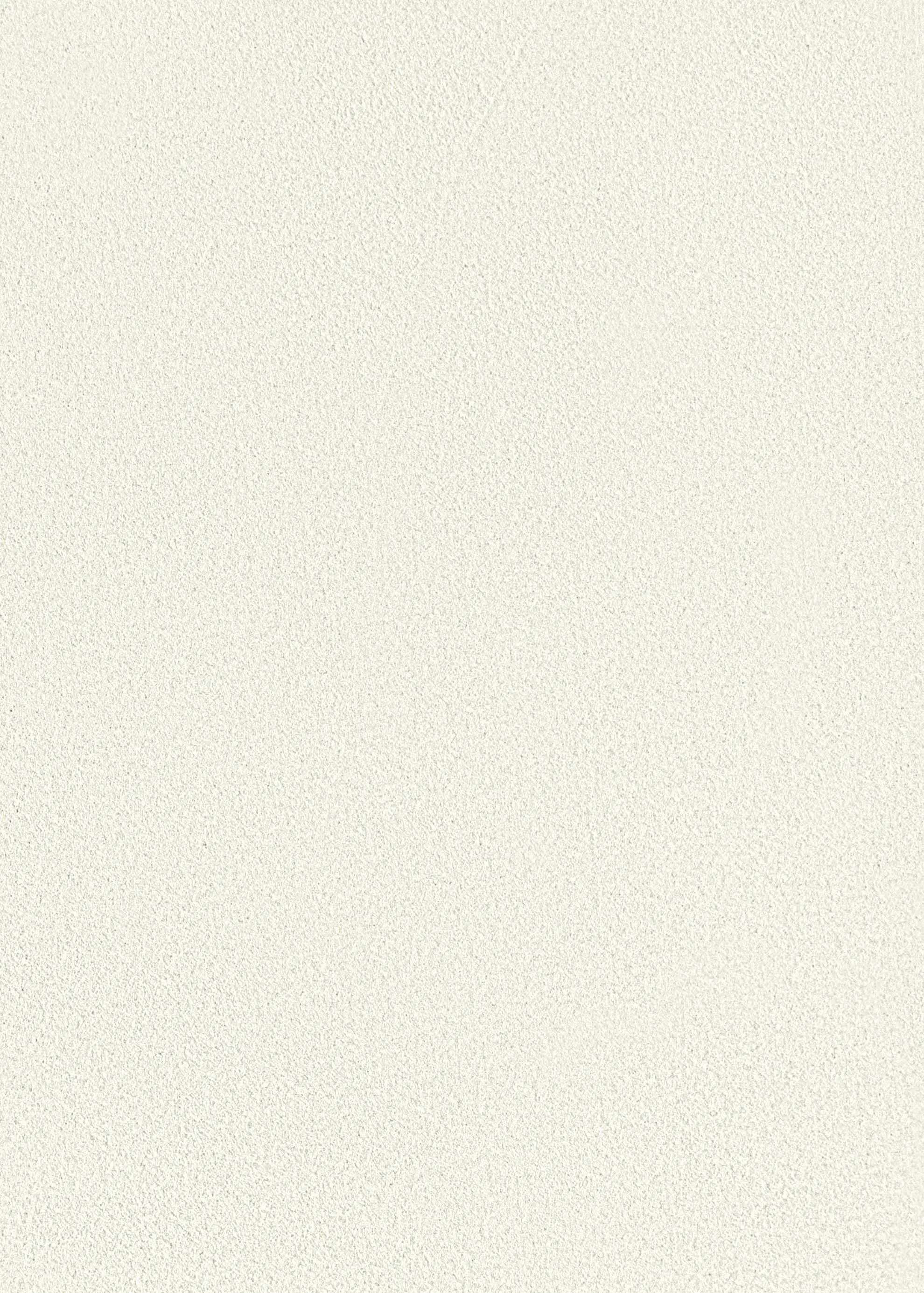 St. Leo - Dolomite Plaster | Herluf Trolles Gade - Trowel Finish