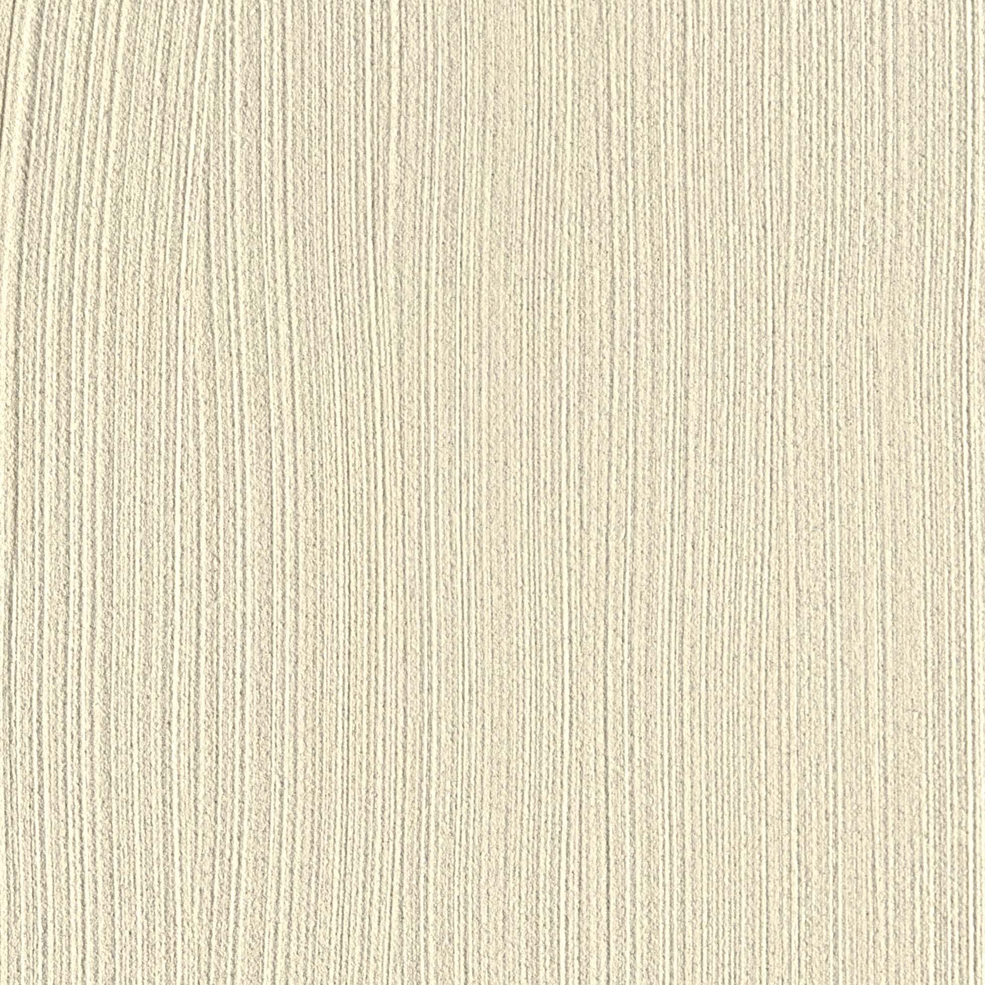 Dolomite Plaster | Rue De La Perle - Brush Finish