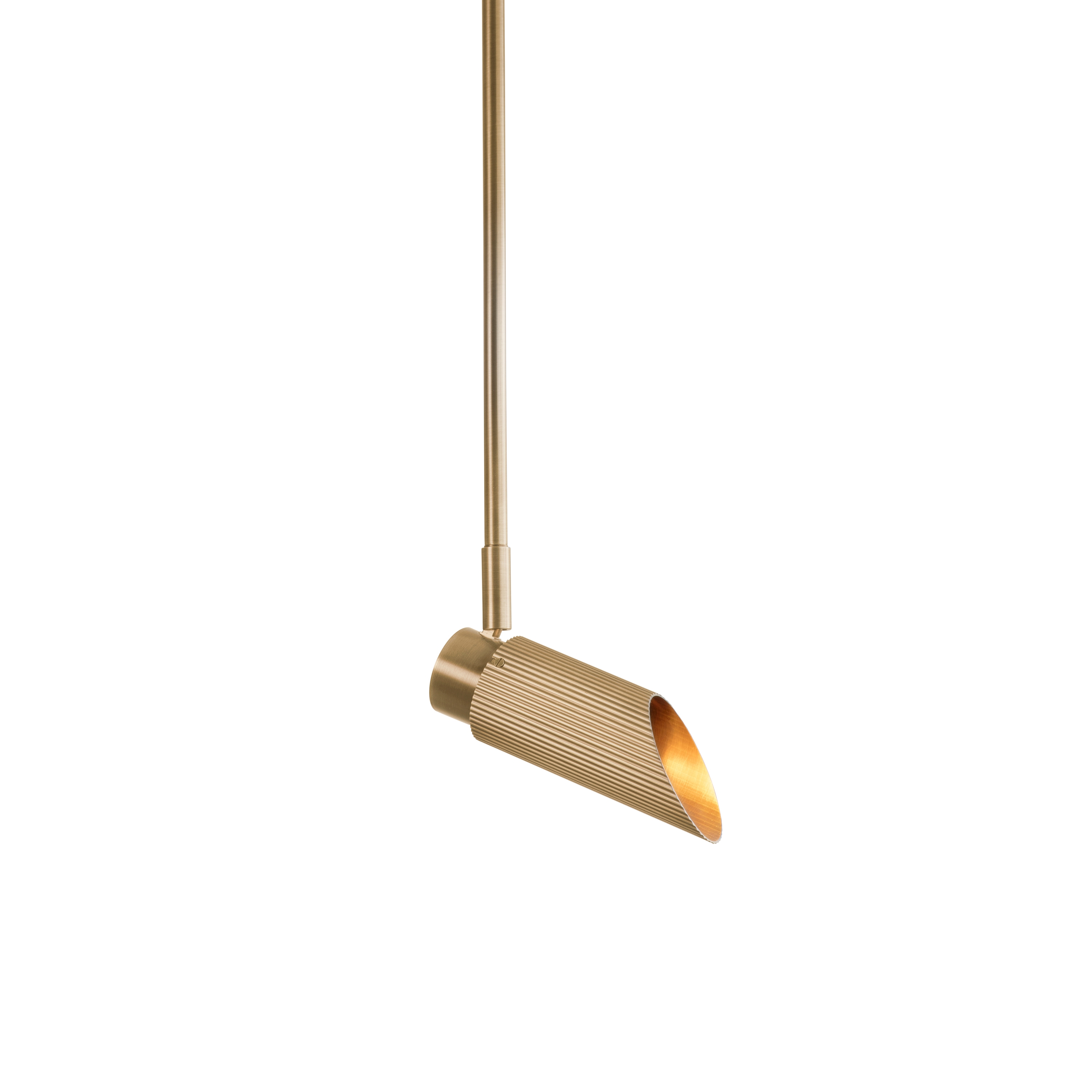 Afficher le produit Spot Pro | Ceiling Light - 500 Drop Rod - Satin Brass du fabricant J. Adams & Co