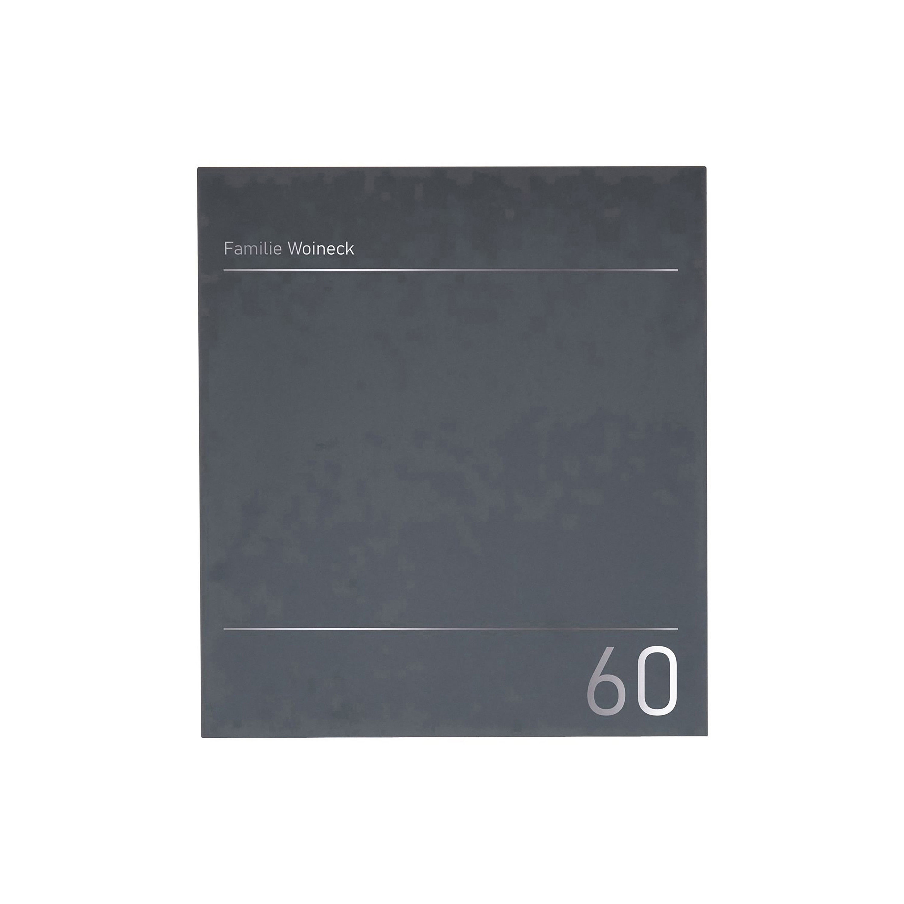 Mostrar el producto Schiller | Design Edelstahl Briefkasten SCHILLER MEDIUM Elegance I - Hausnummer - Name - RAL nach Wahl del fabricante Briefkasten Manufaktur