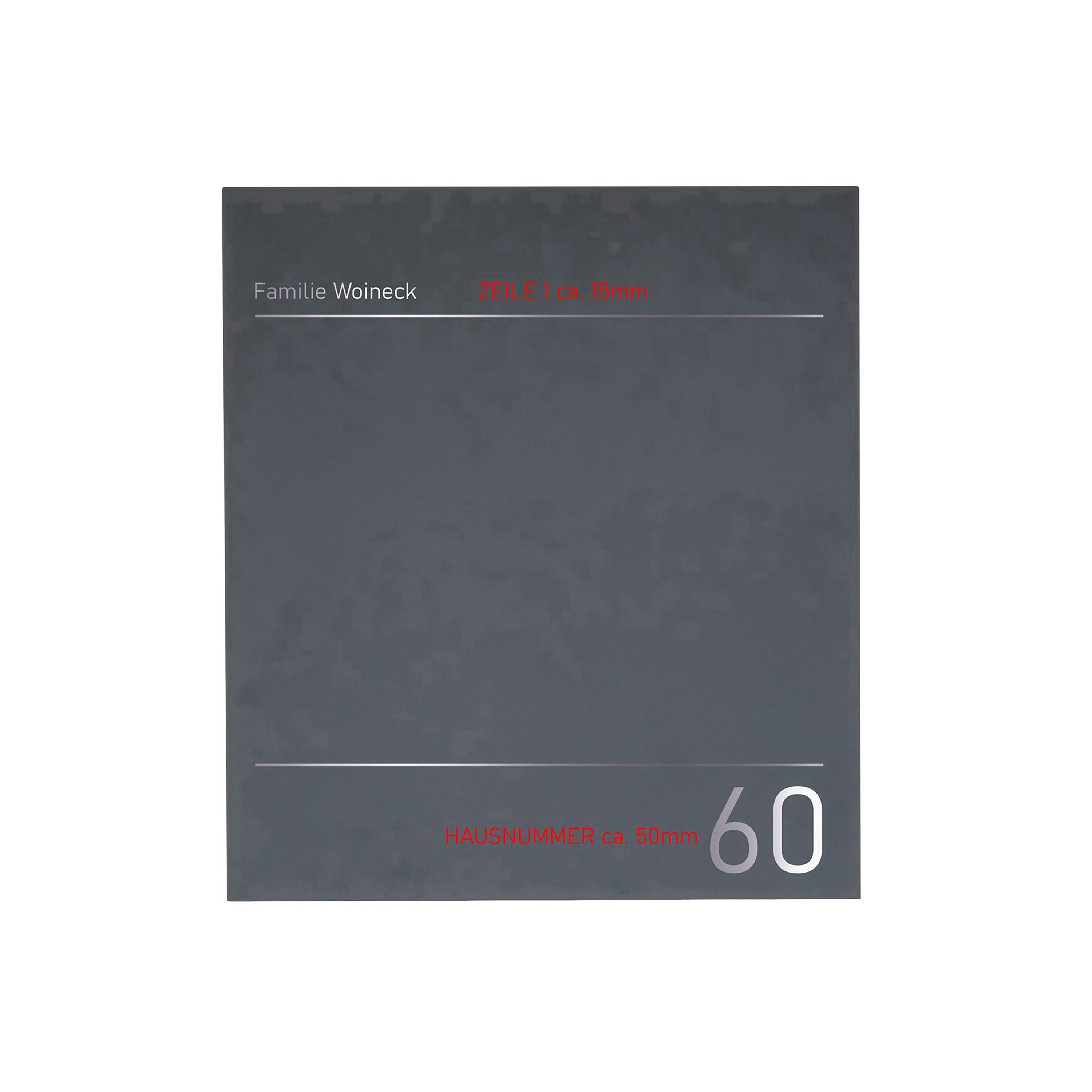 Display product Schiller | Design Edelstahl Briefkasten SCHILLER MEDIUM Elegance I - Hausnummer - Name - RAL nach Wahl from manufacturer Briefkasten Manufaktur