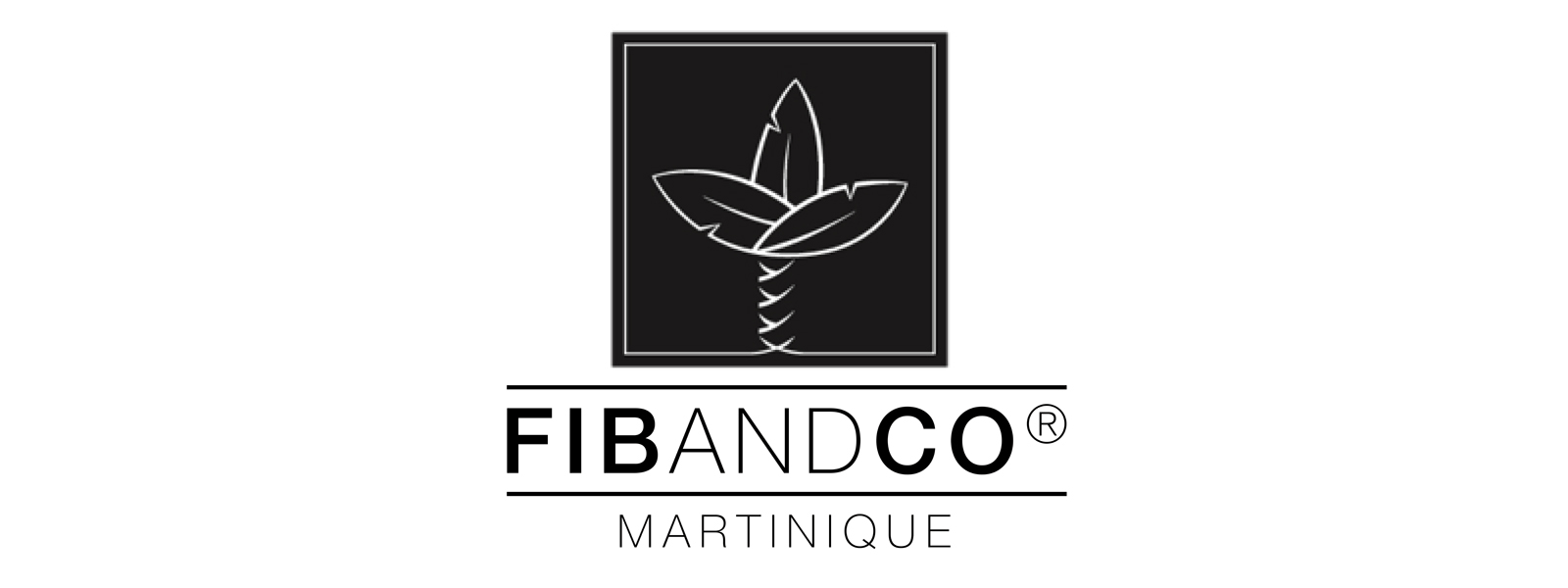 Logo di FibandCo