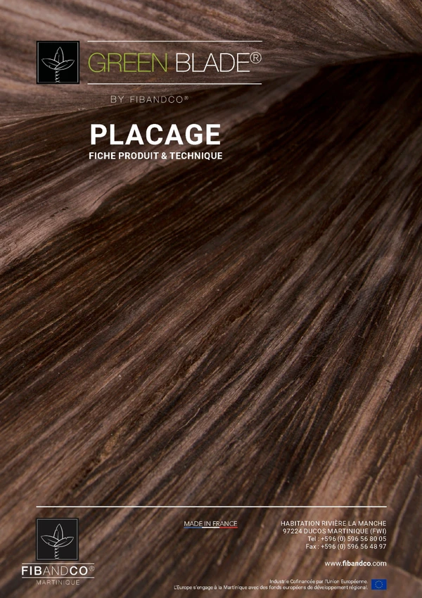 Imagen de vista previa del archivo Placage