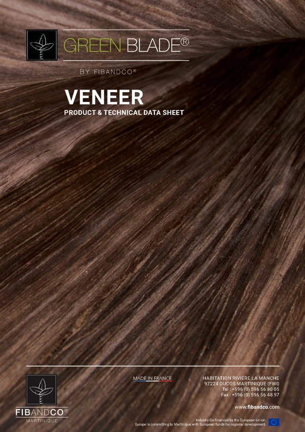 Imagen de vista previa del archivo Veneer