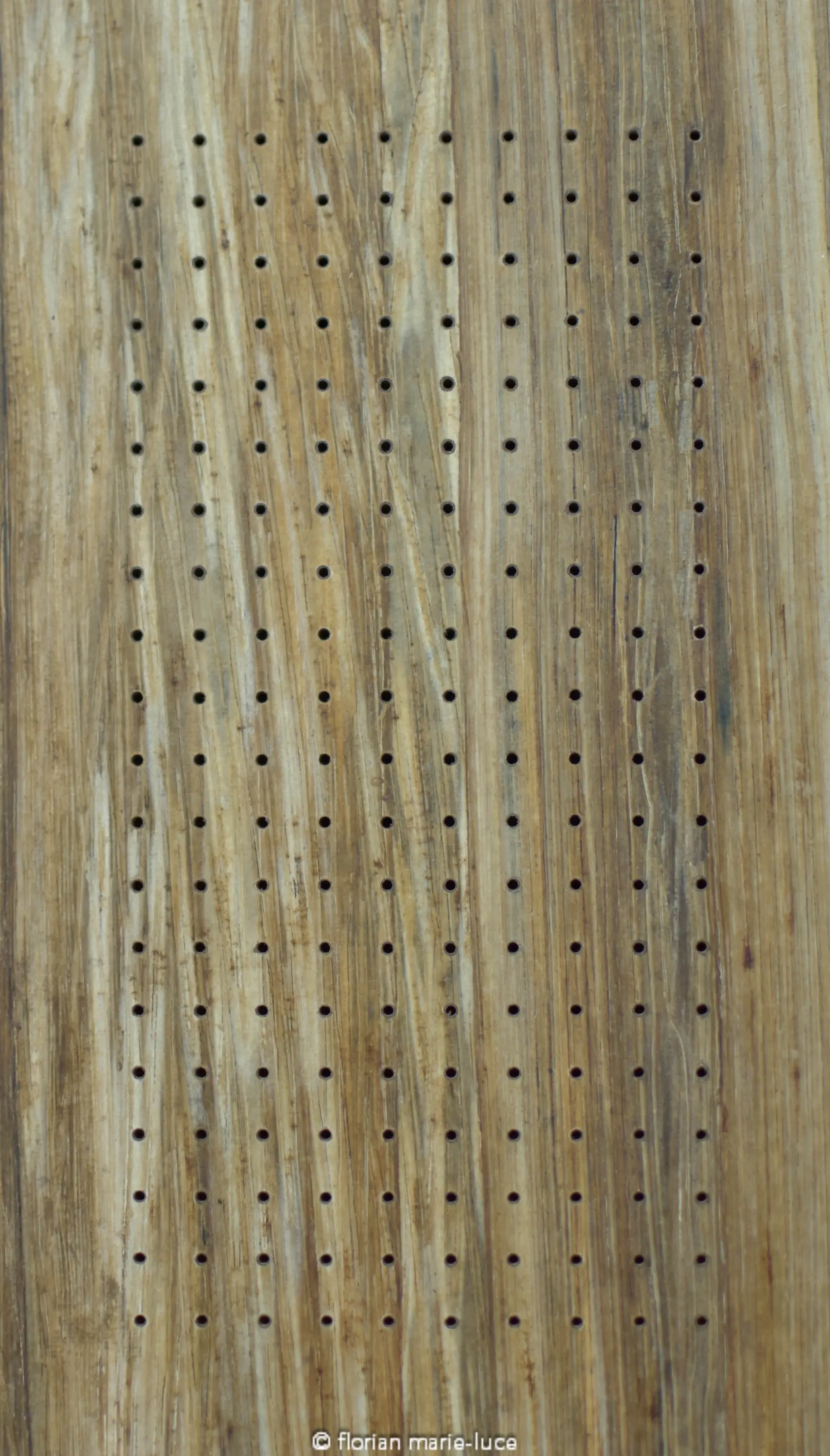 FibandCo - Acústico | Micro Perf 1.5/8-R