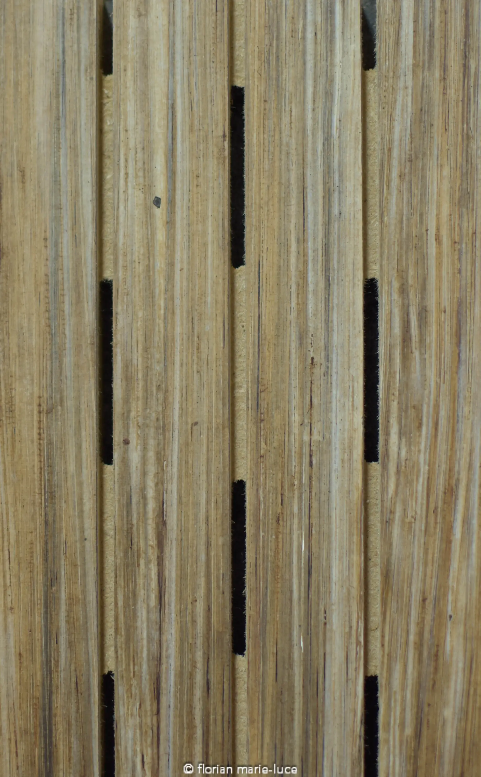 FibandCo - Acoustic | Topline™ Tls 29/3