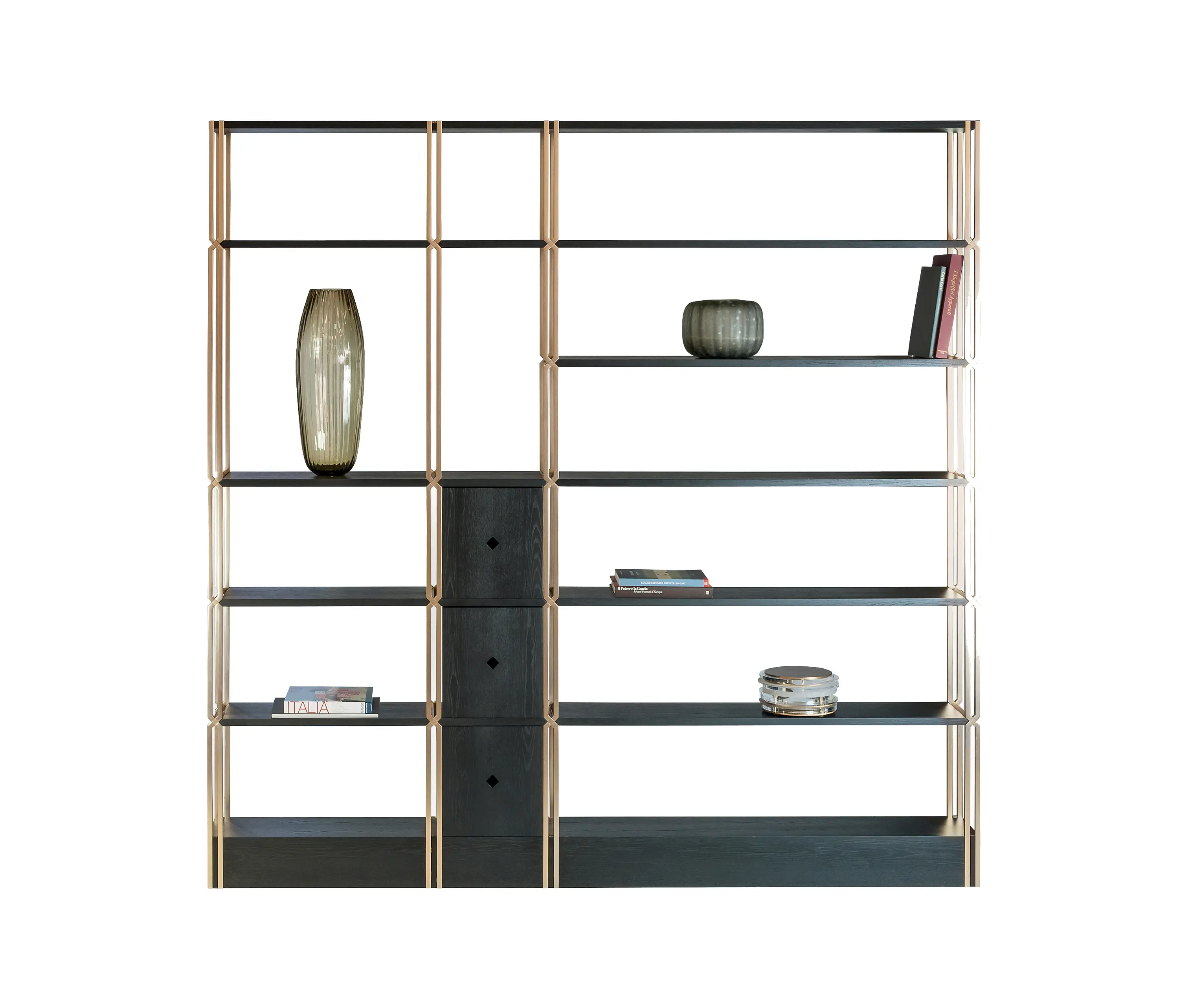 Paolo Castelli - BDS bookshelf