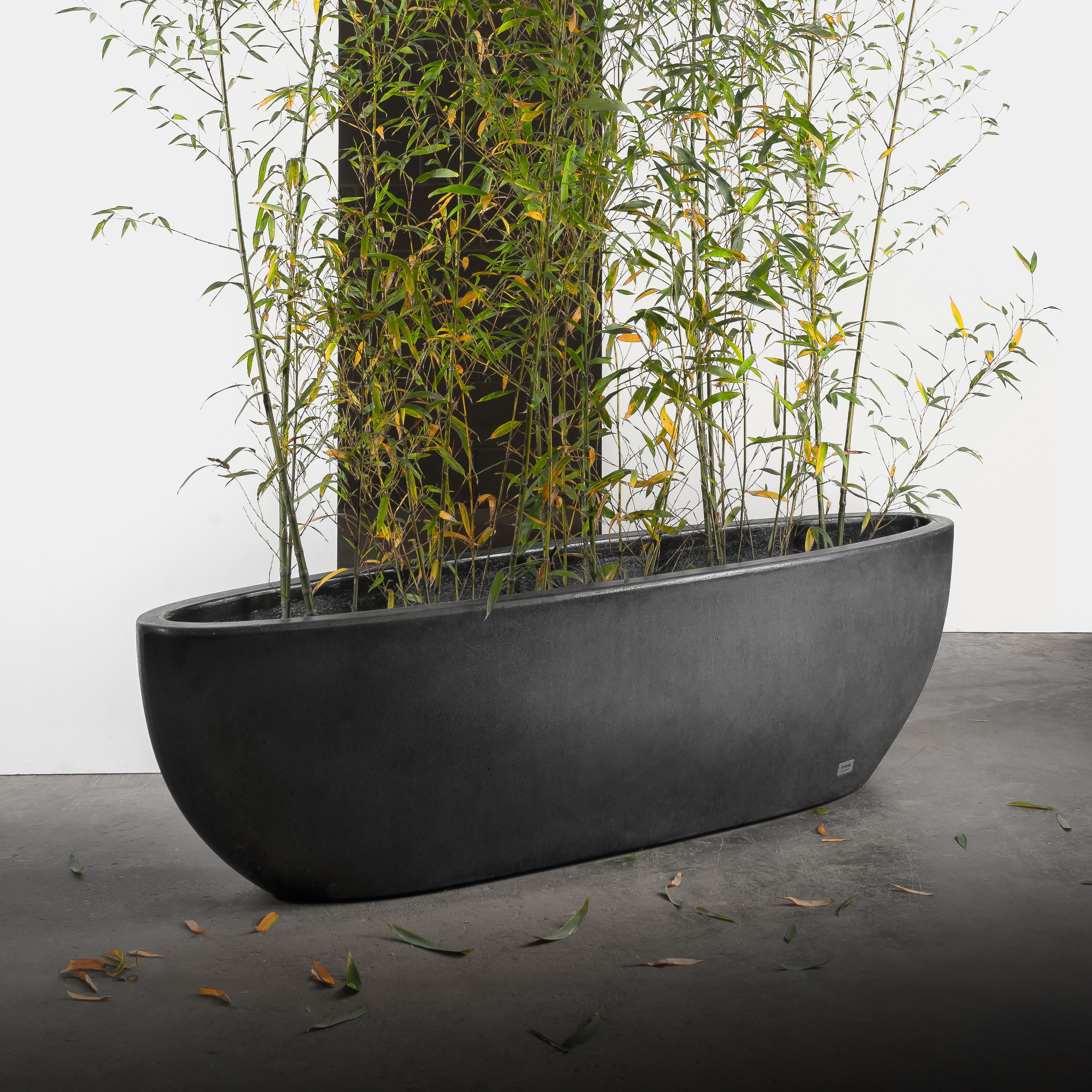 PLANTERS