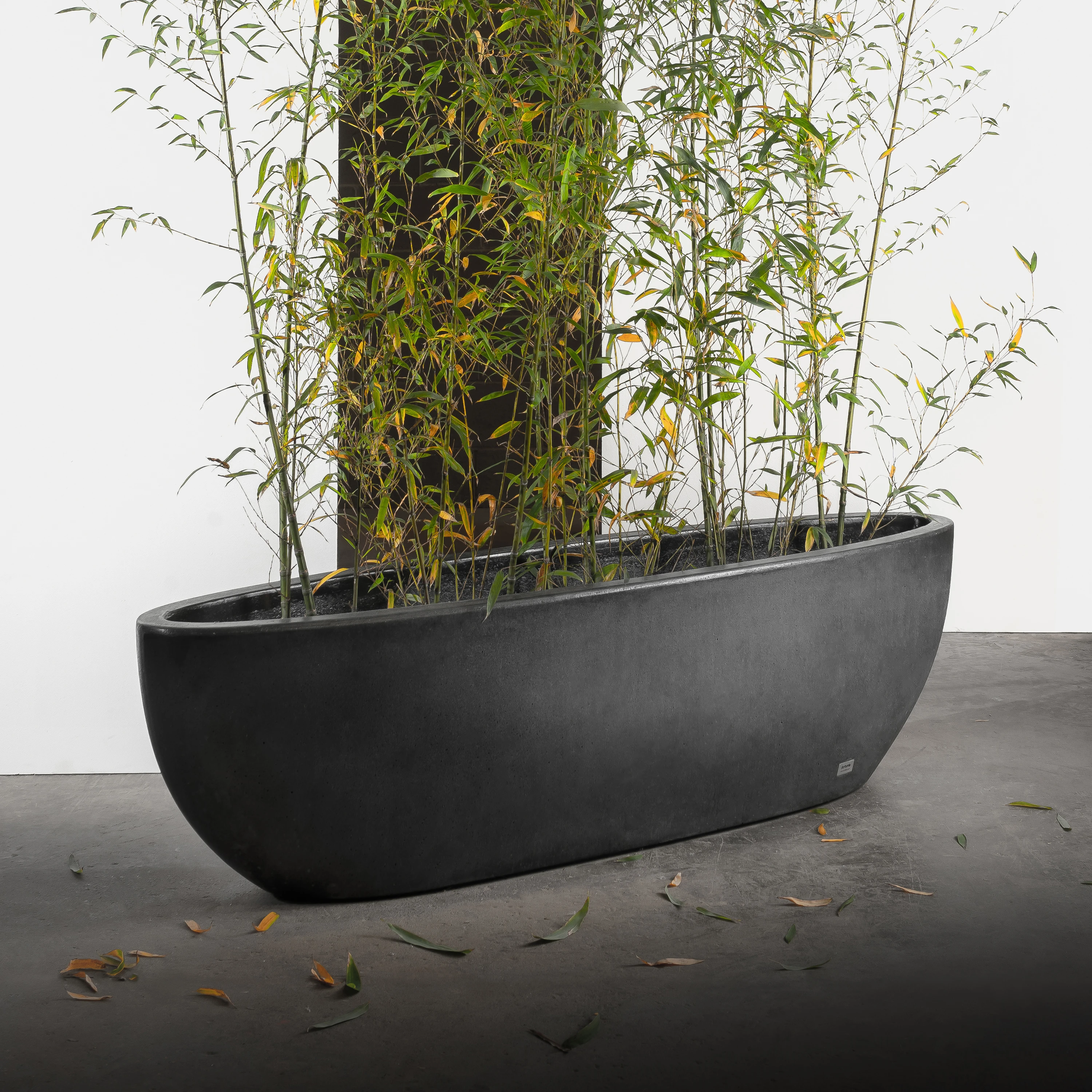 PLANTERS
