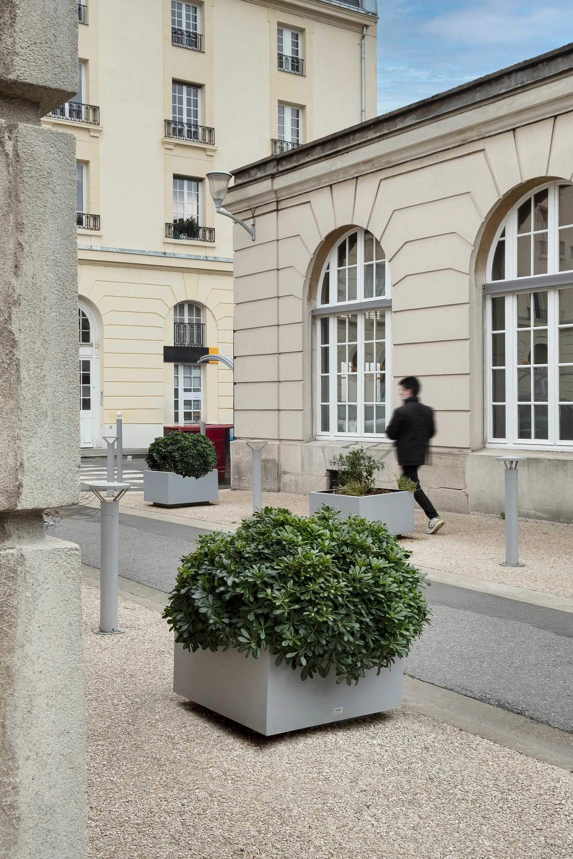 Durbanis - Cilar Planter S