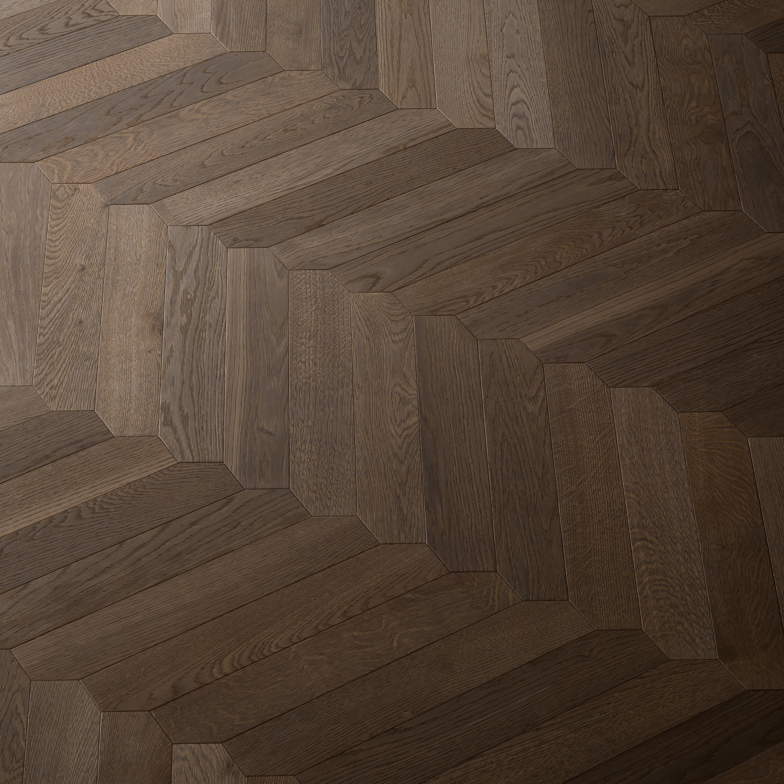 Special Chevrons | Jazz Ca' Nardi