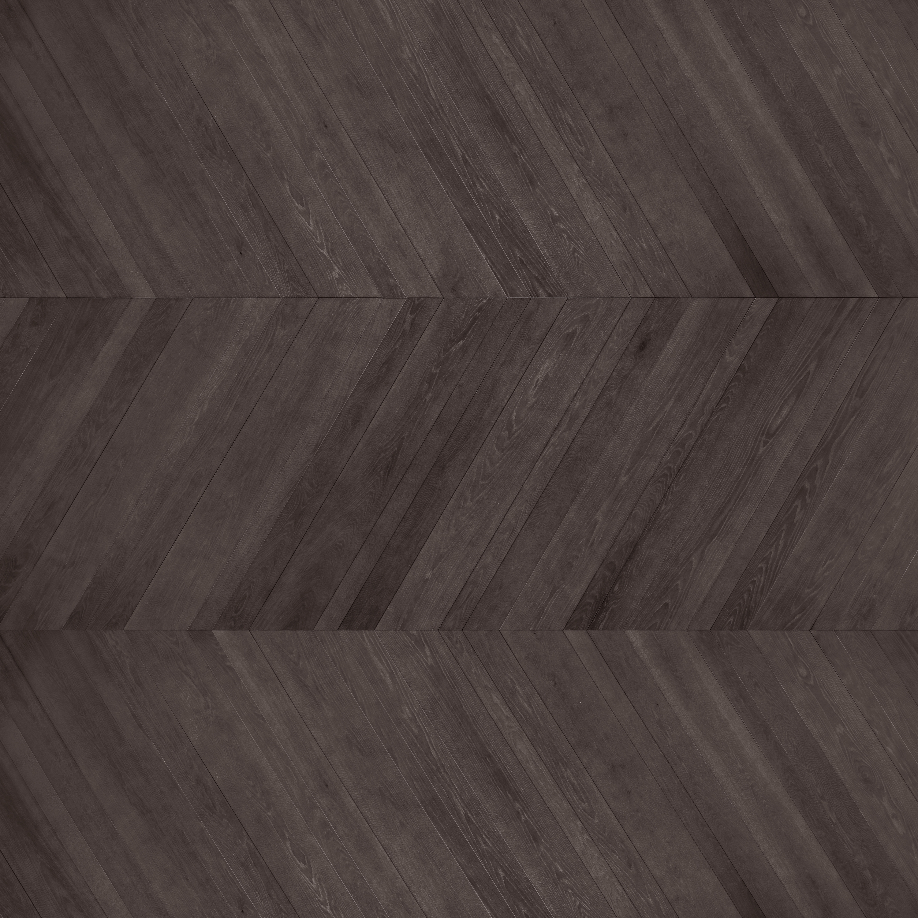 Special Chevrons | Maxi Ca' Pisani