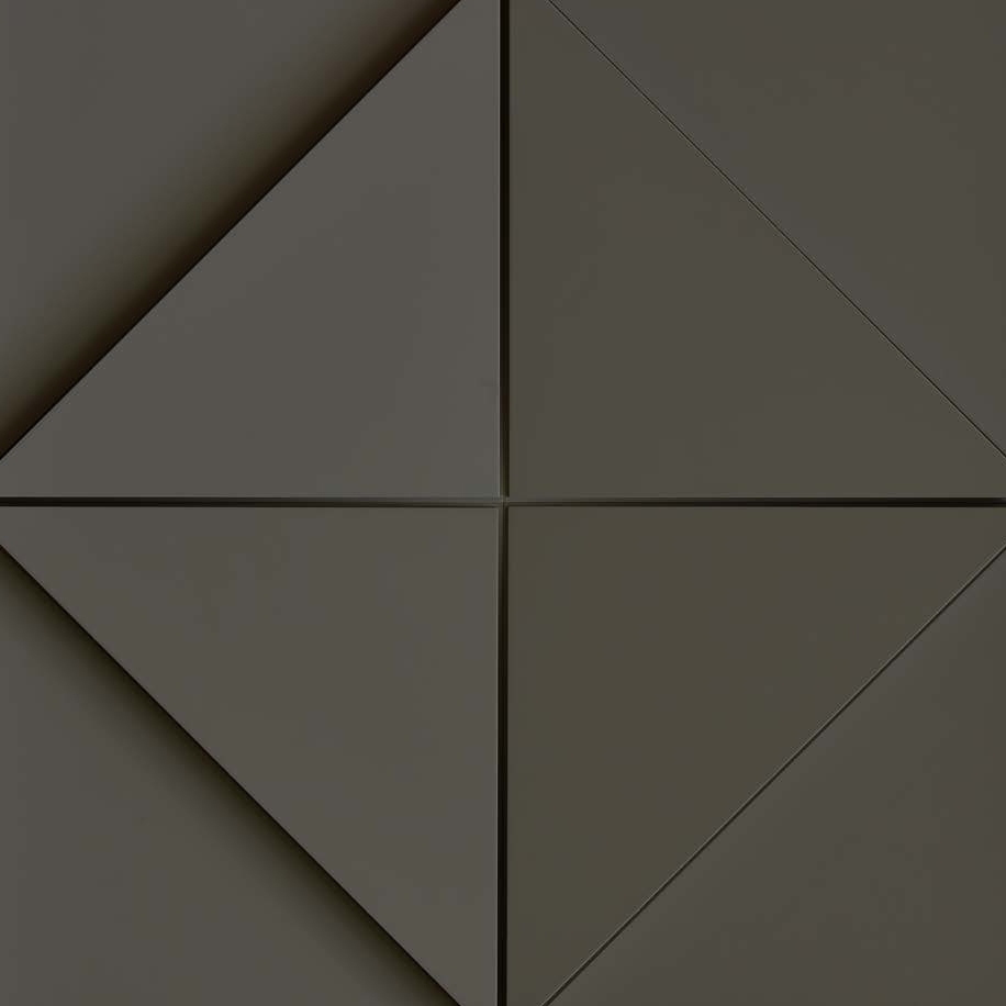 Zeta Panel Anthracite Lacquer