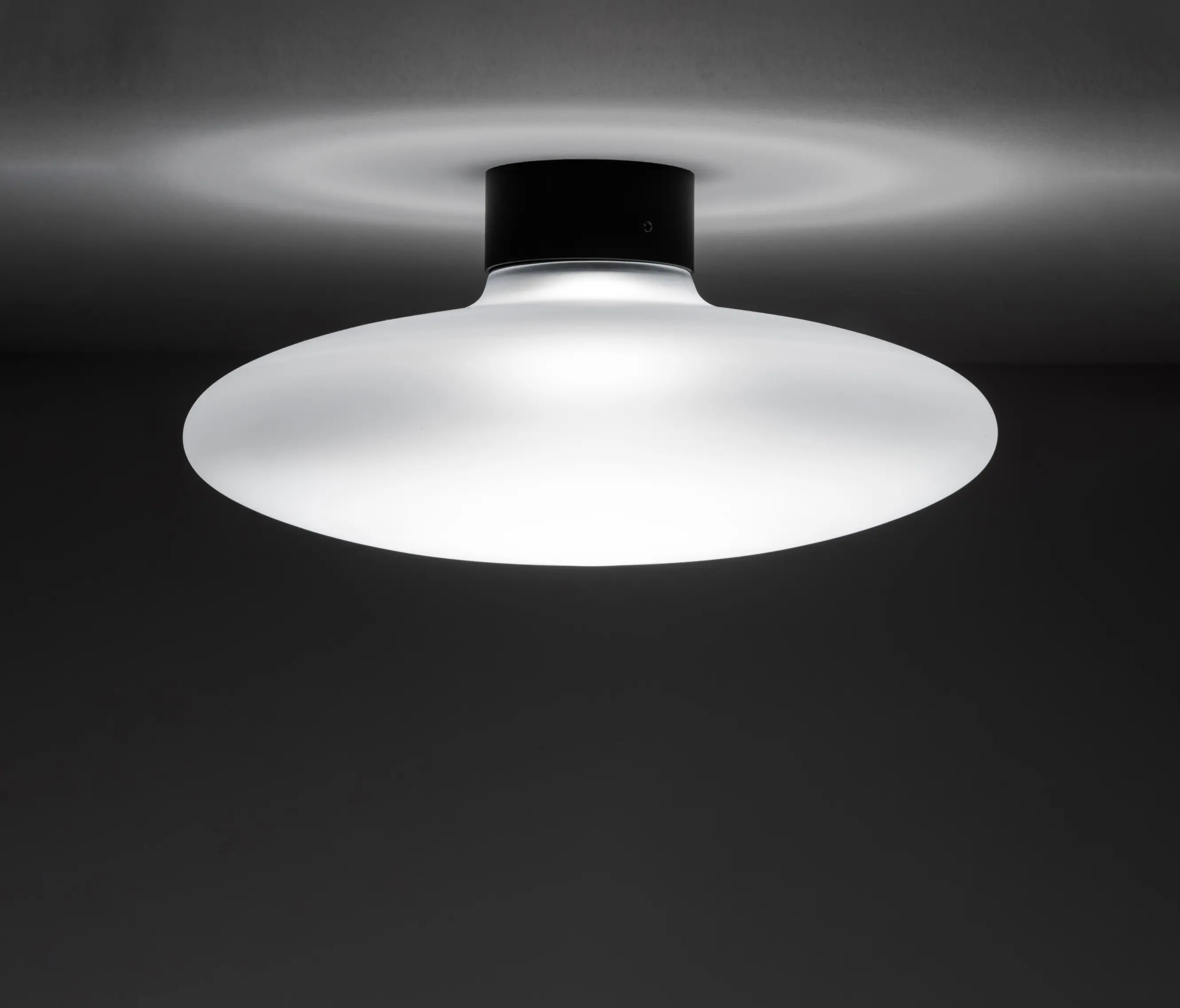 Cangini e Tucci - Fiji Ceiling Lamp