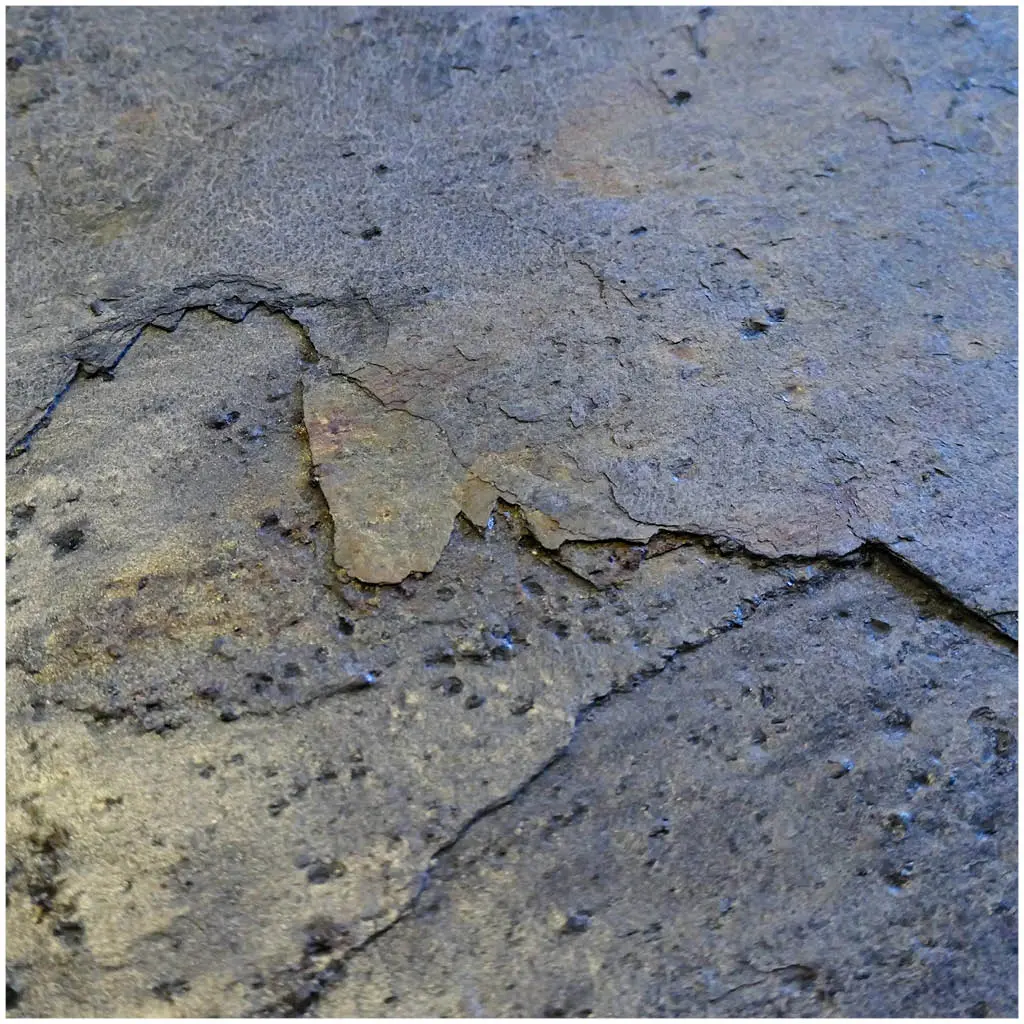 Slate Lite - Slate-Lite | Burning Forest