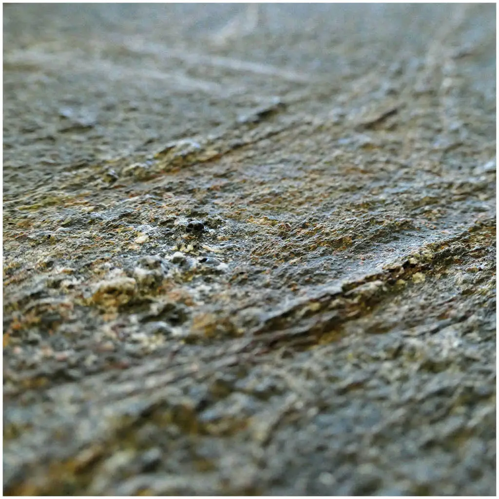 Slate Lite - Slate-Lite | Rainforest Green