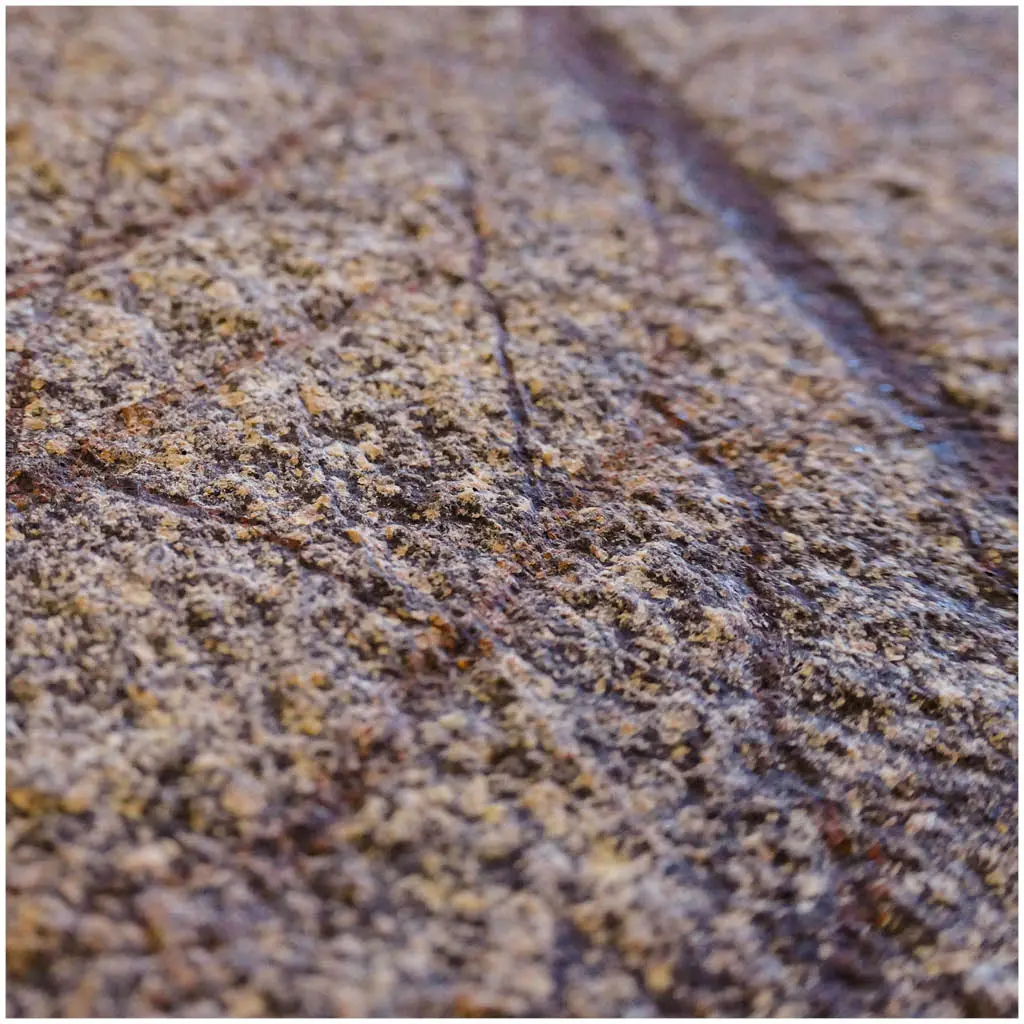 Slate Lite - Slate-Lite | Rainforest Brown