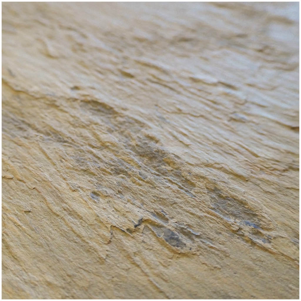 Afficher le produit Slate-Lite | Caldera Gold du fabricant Slate Lite