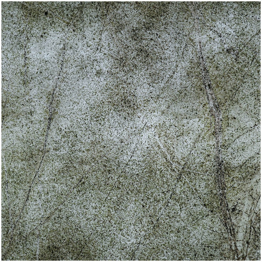 Translucent | Rainforest Green