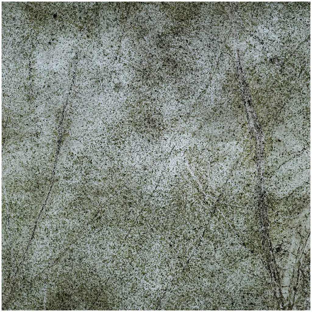 Slate Lite - Translucent | Rainforest Green