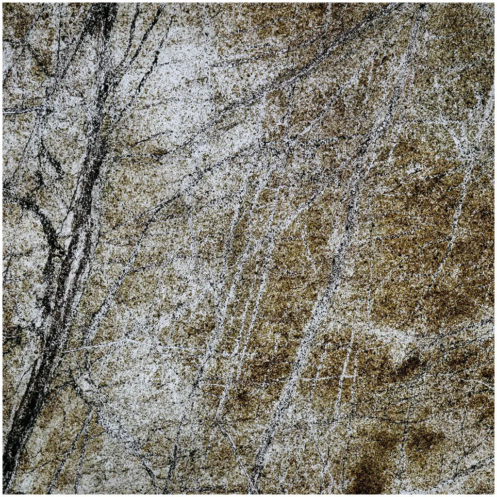 Slate Lite - Translucent | Rainforest Brown