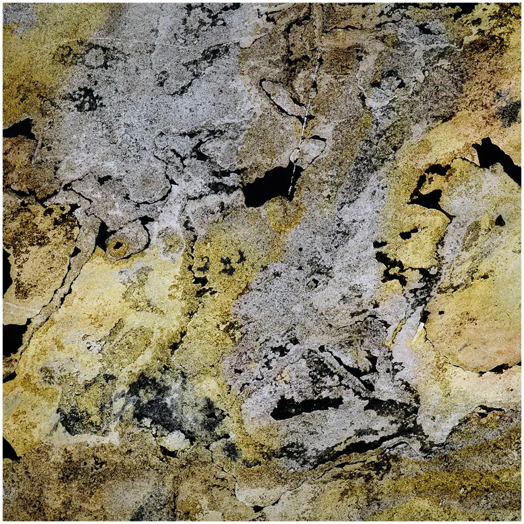 Slate Lite - Translucent | Falling Leaves