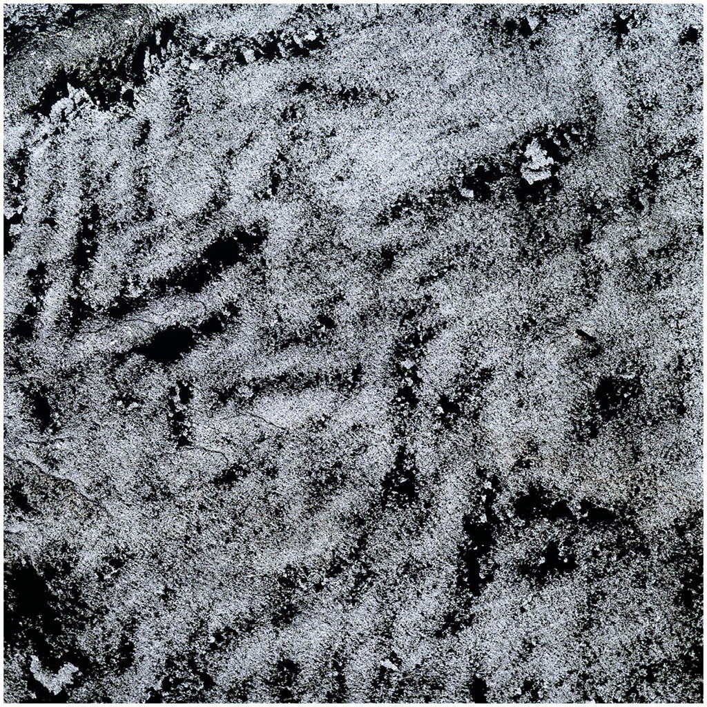 Translucent | Arcobaleno Gris