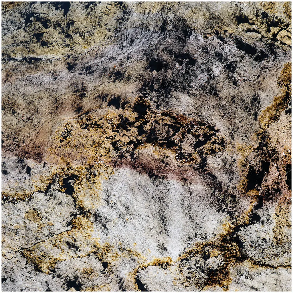 Slate Lite - Translucent | Blanco