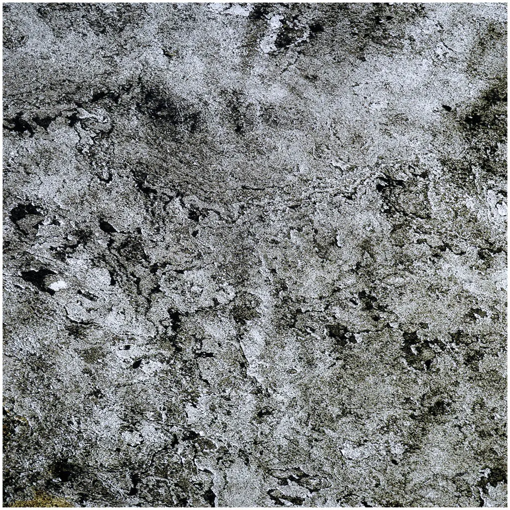 Slate Lite - Translucent | California Gold