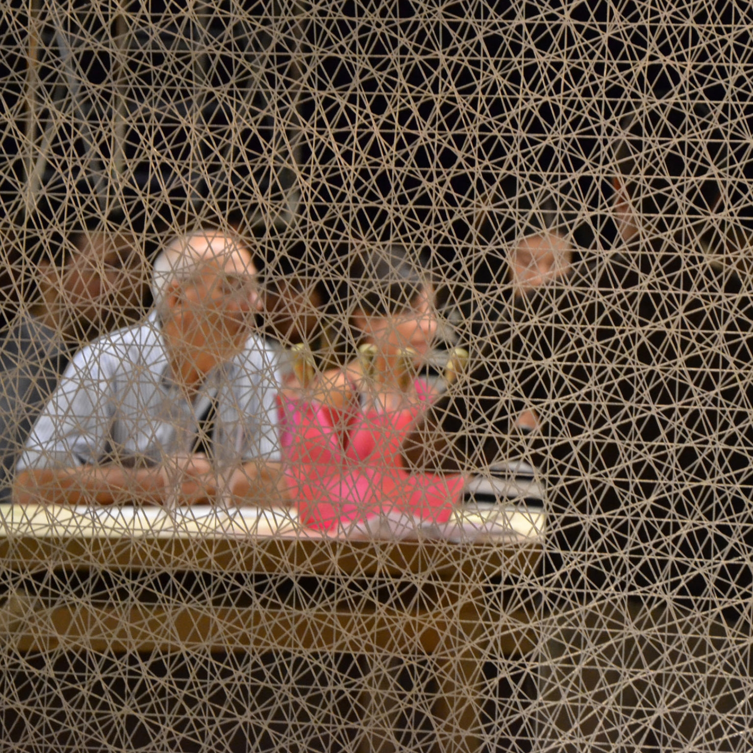 Produkt i-Mesh Room Divider des Herstellers i-mesh anzeigen