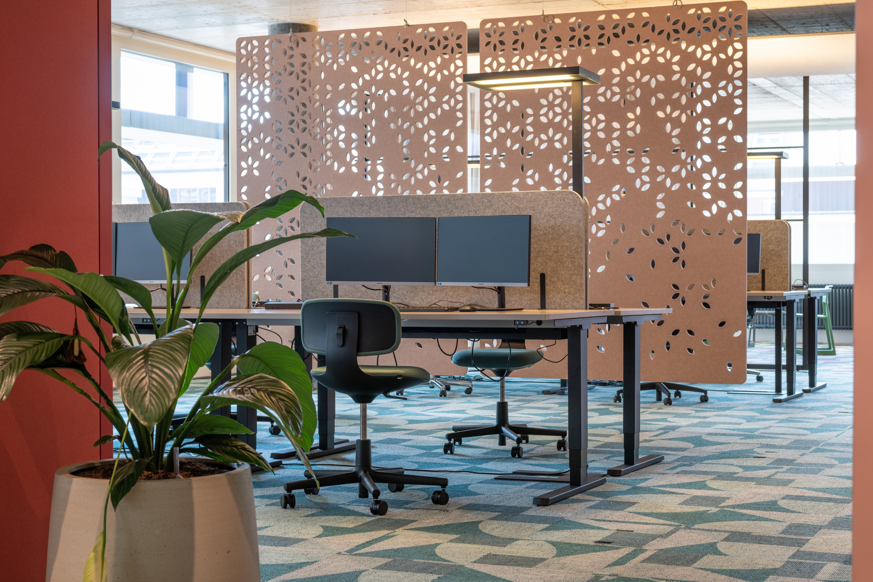 HANGING DIVISION WEB - Sound absorbing room divider from IMPACT ...
